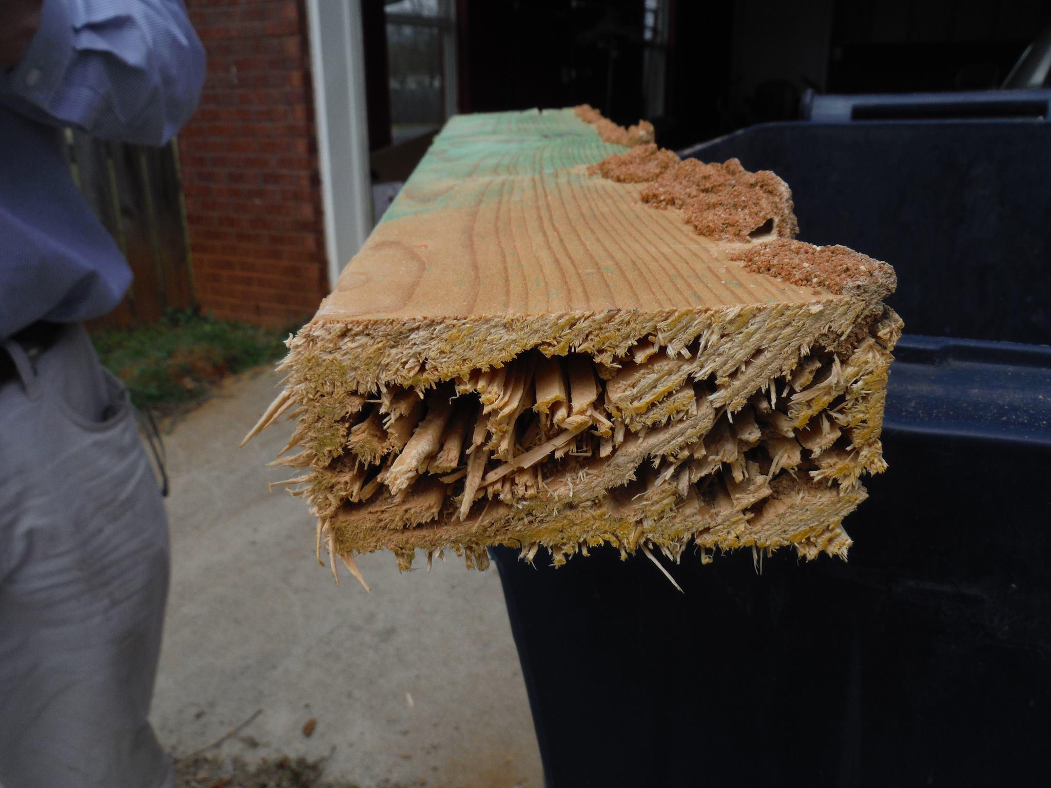 Photo credit: nextdoor