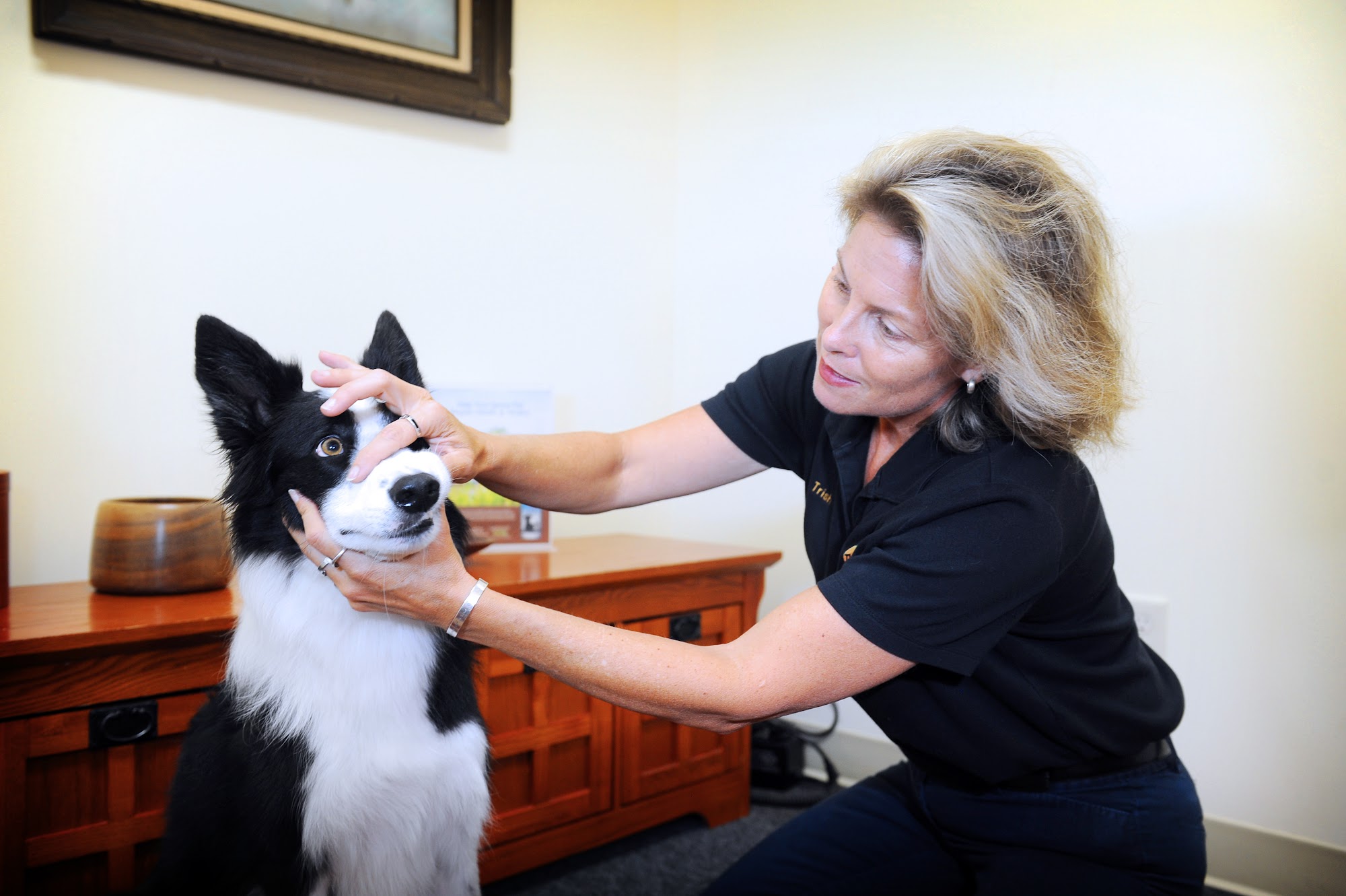 The Healing Place Veterinarian Crystal River