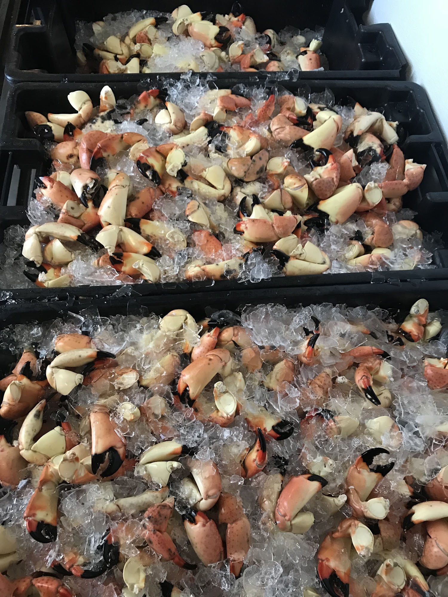 Low Key Fisheries Menu