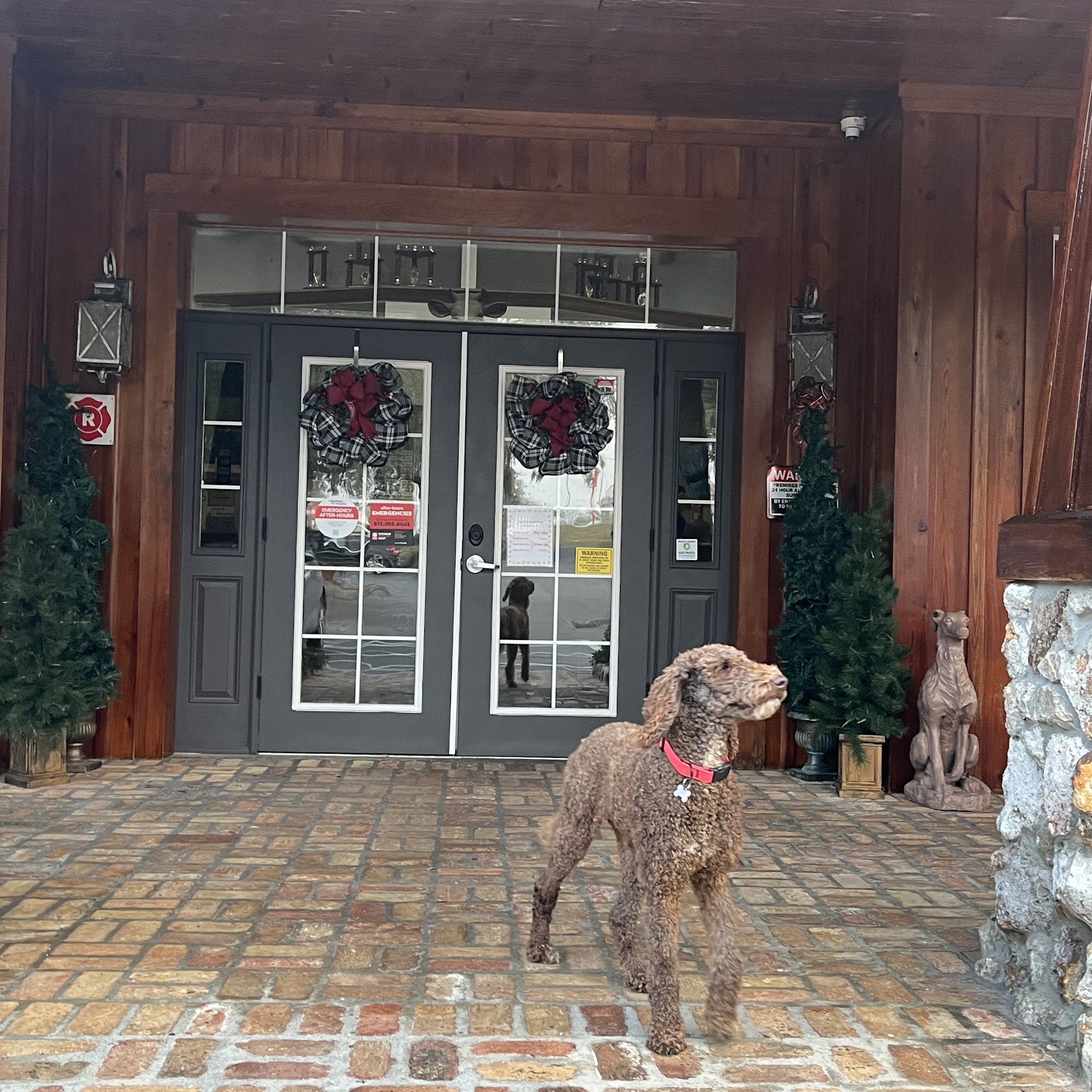 Chester W. Taylor, III, DVM Dade City