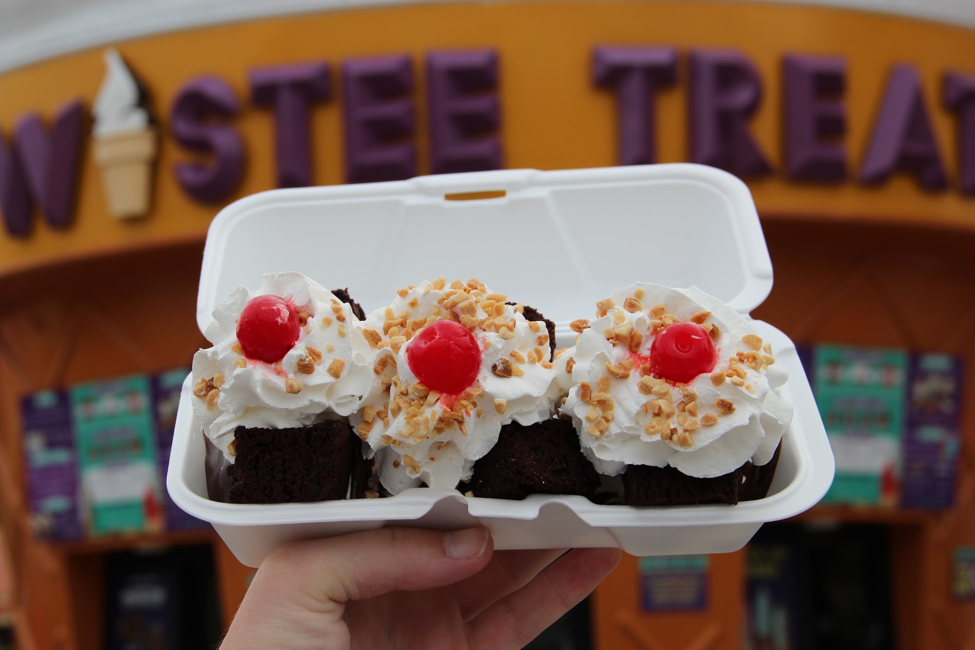 Twistee Treat Posner Davenport