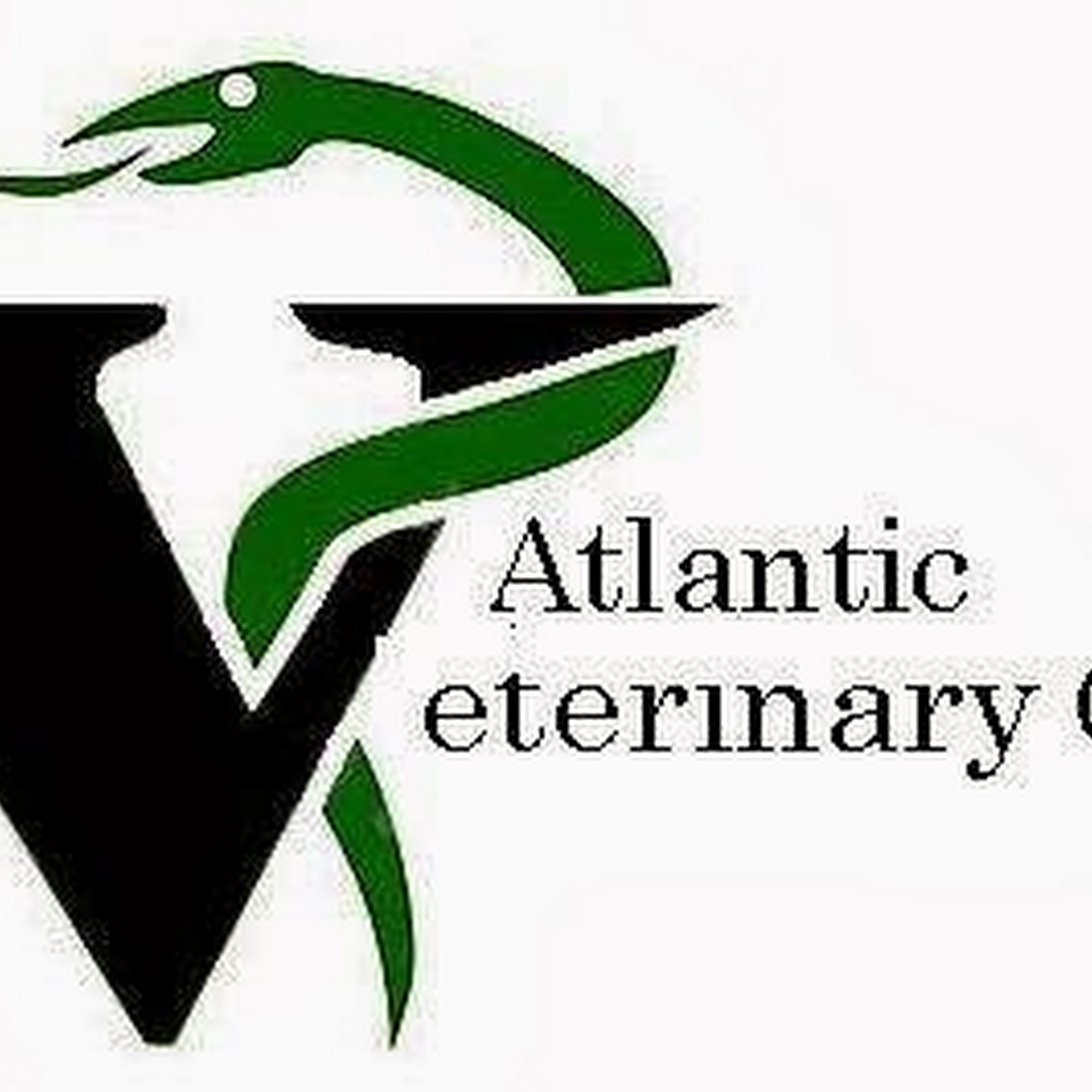 Atlantic Veterinary Clinic Davenport