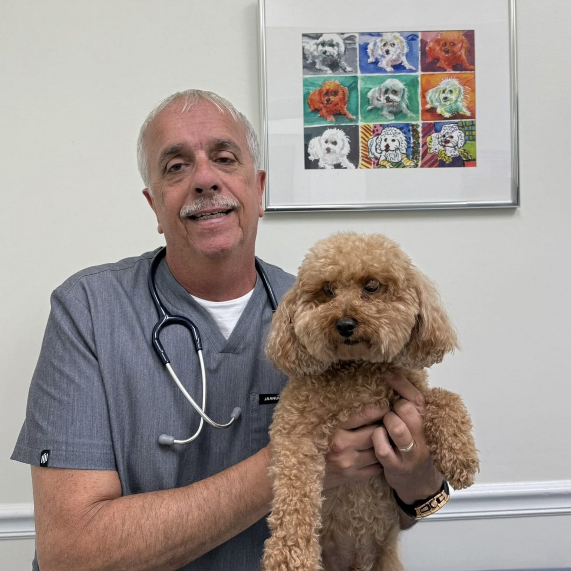 All Friends Animal Clinic Davie