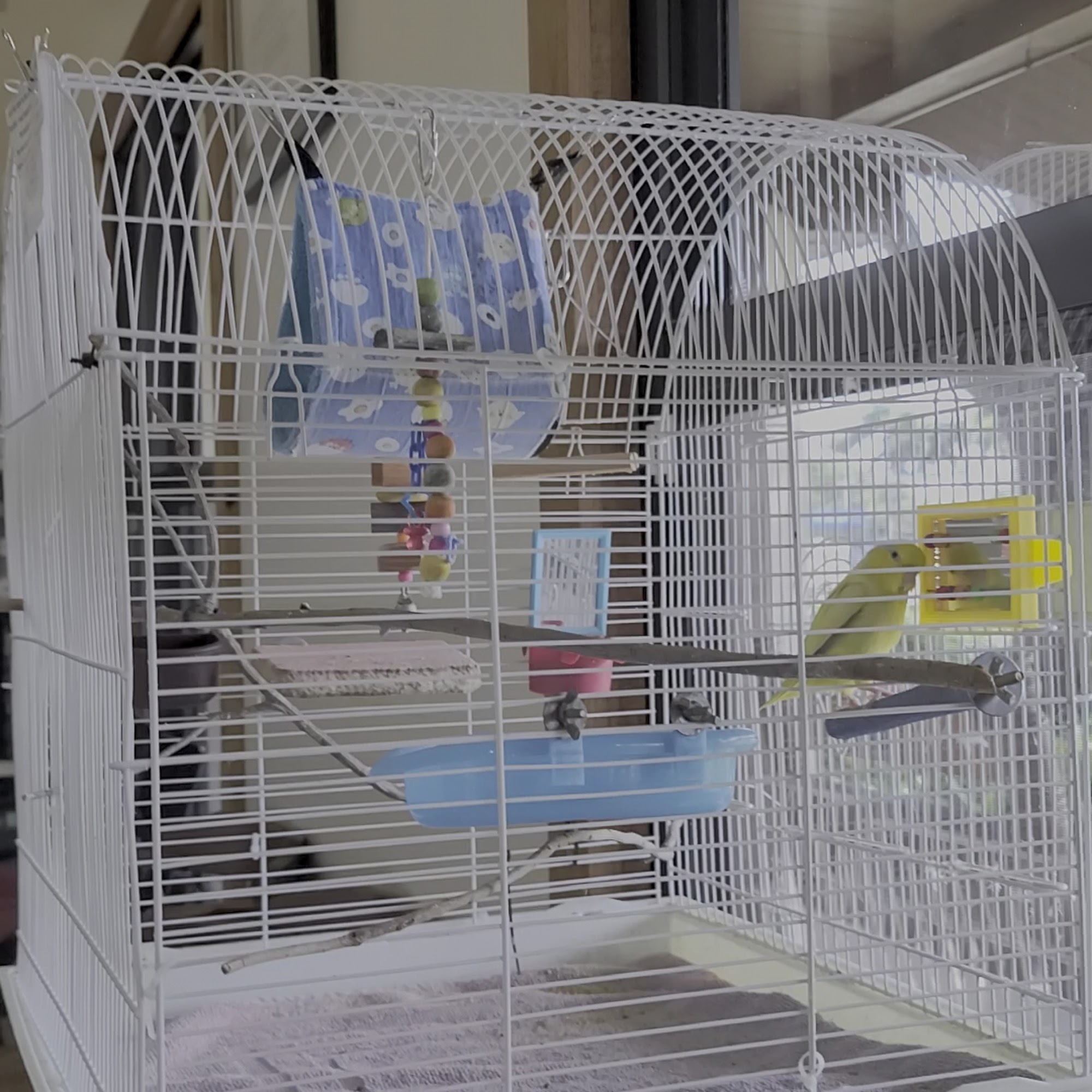 Nova Animal Hospital Davie