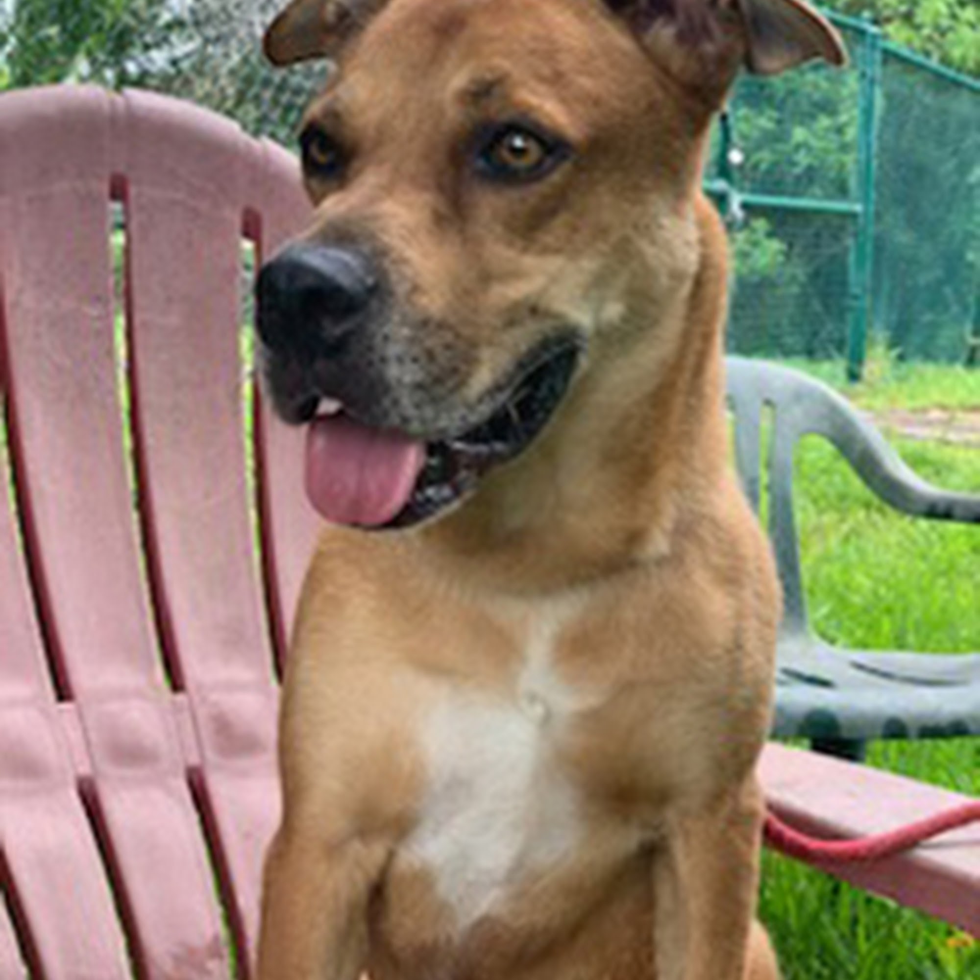 Miracle Acres Inc Davie