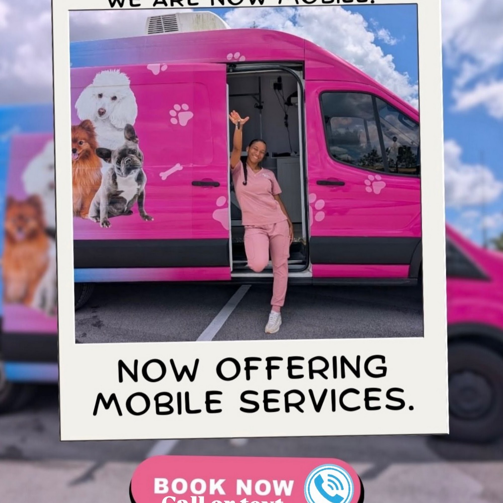 Pet Spaw Palace Davie