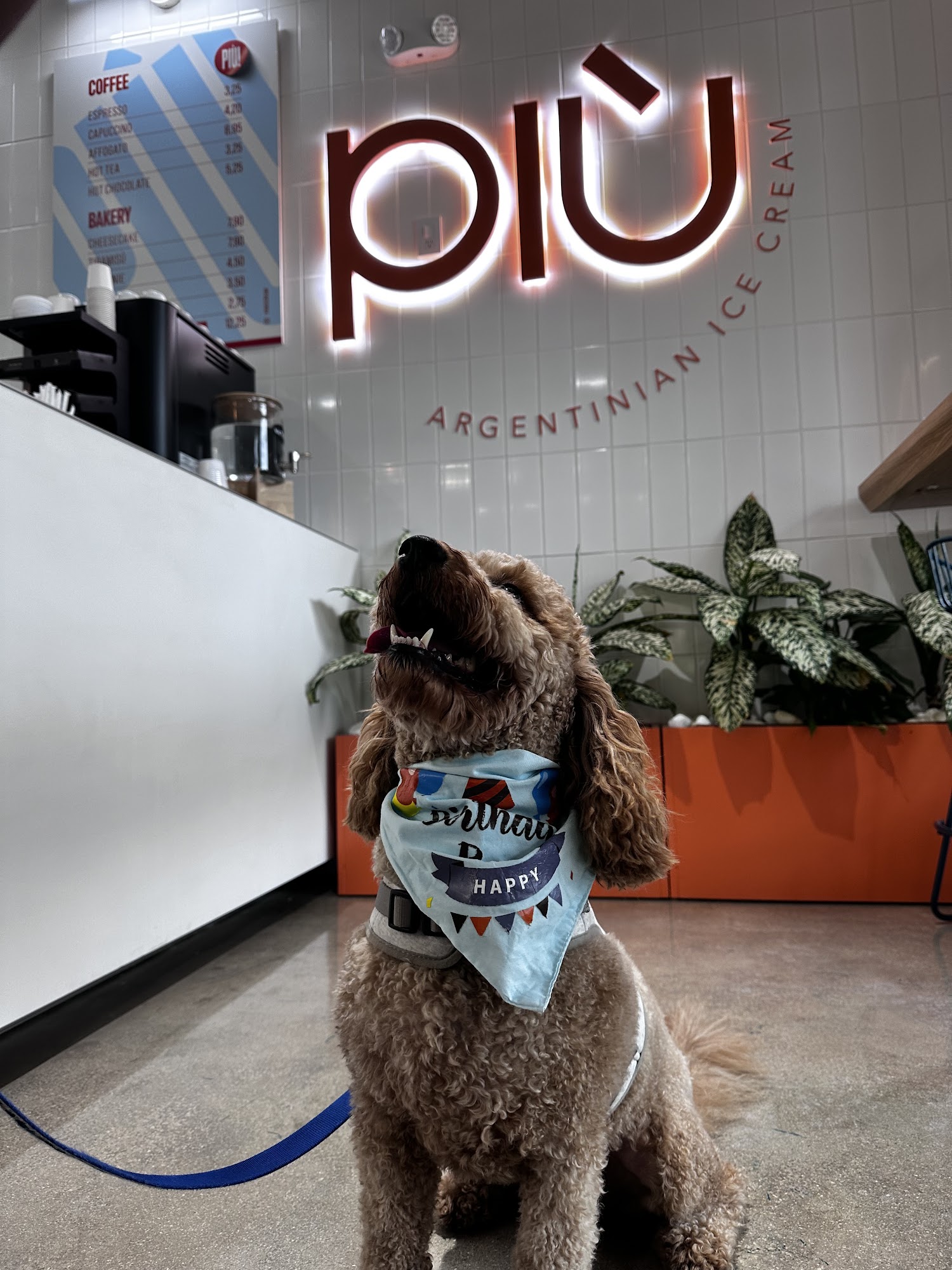 PIÙ argentinian ice cream Menu