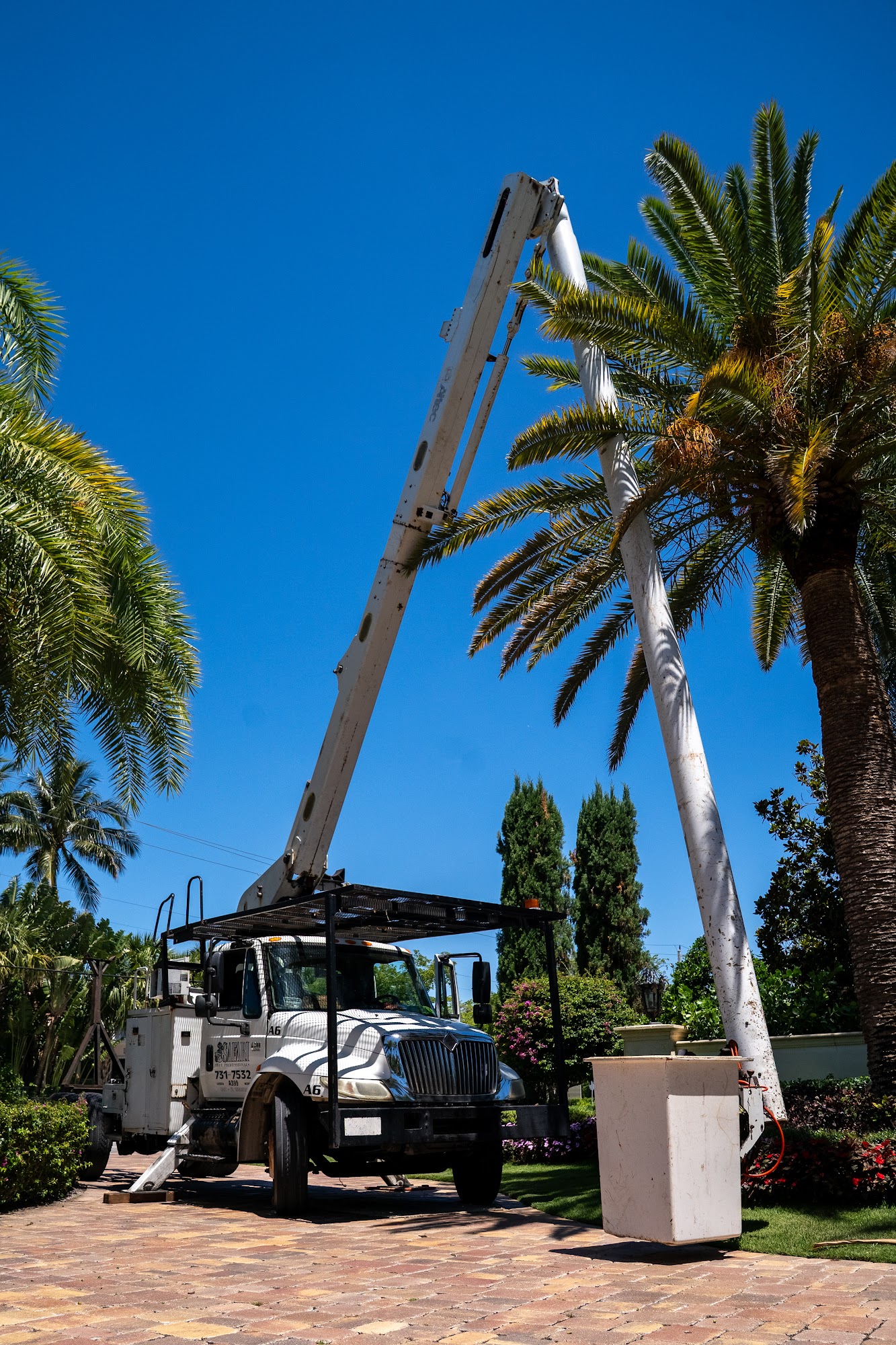 Safari Tree Professionals 4800 SW 78th Ave, Davie Florida 33328