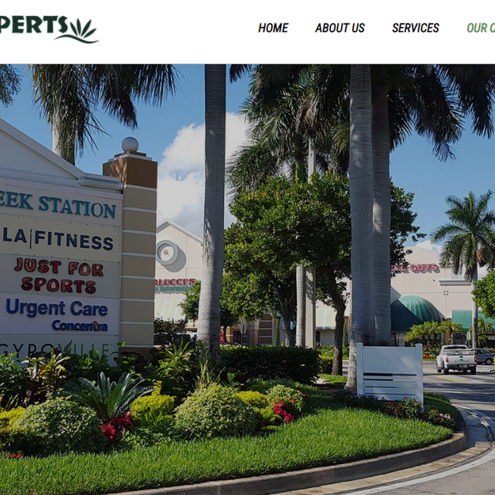 The Green Experts Landscaping