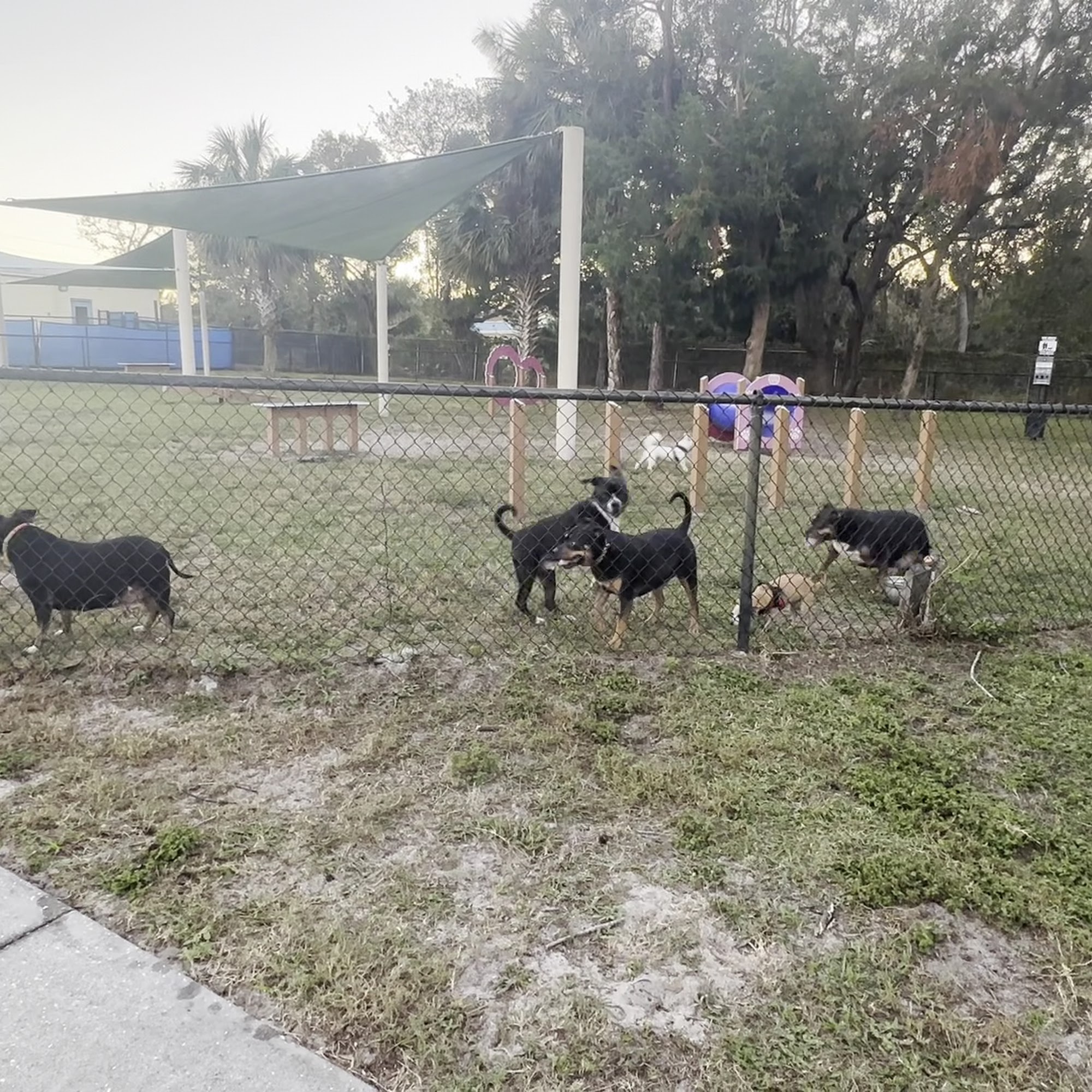 Halifax Humane Society Daytona Beach