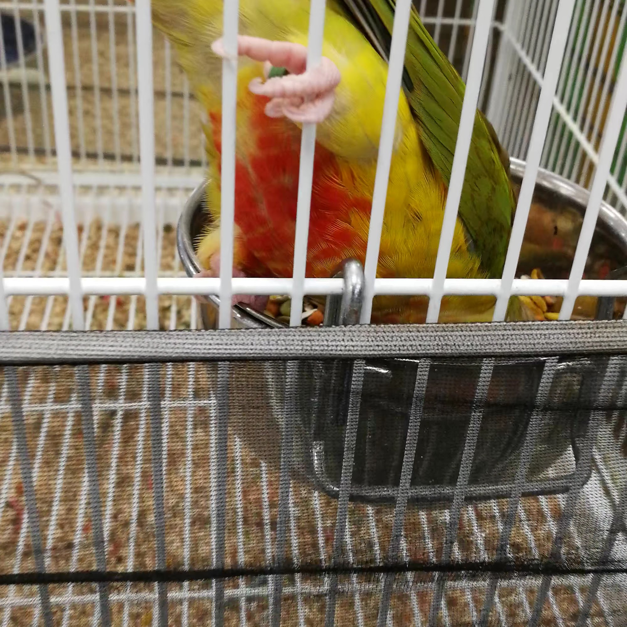 Pet Supermarket Daytona Beach