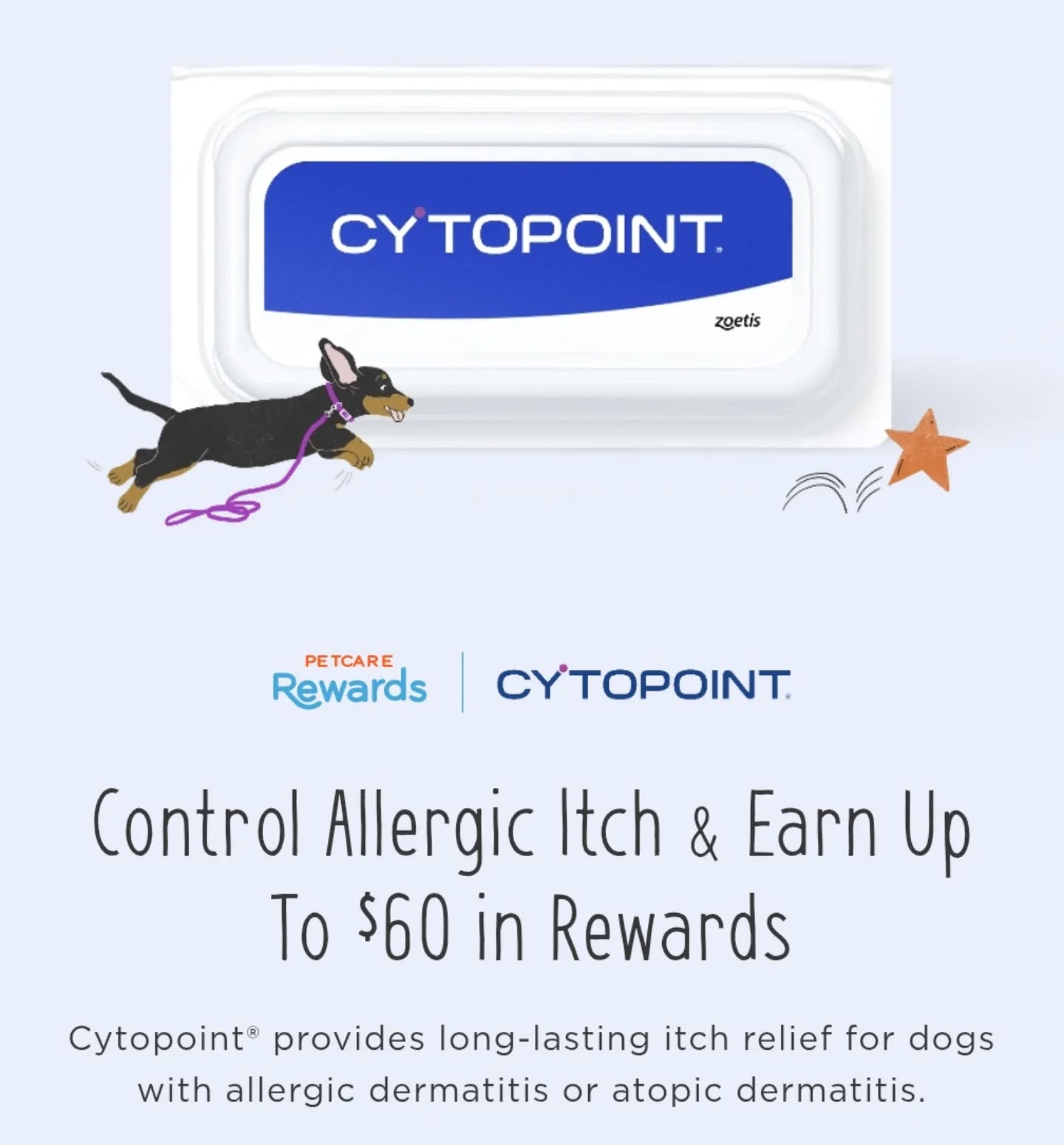 Paradise Animal Clinic of Daytona Daytona Beach