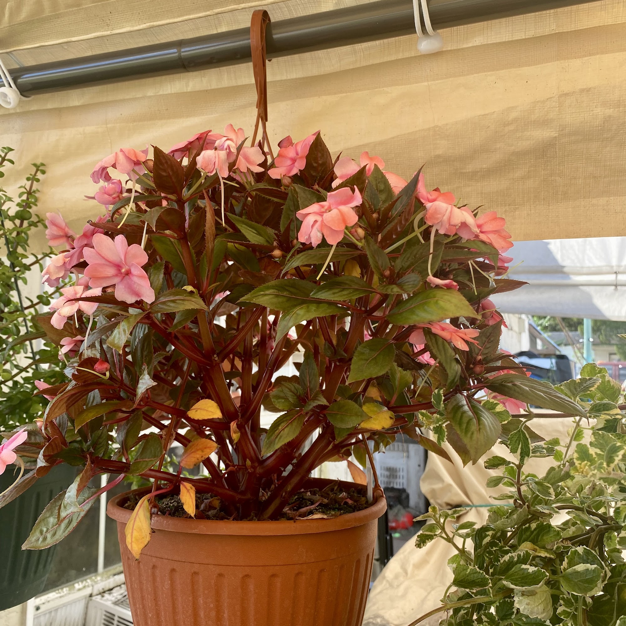 B & W Moss / De Leon Springs Nursery De Leon Springs