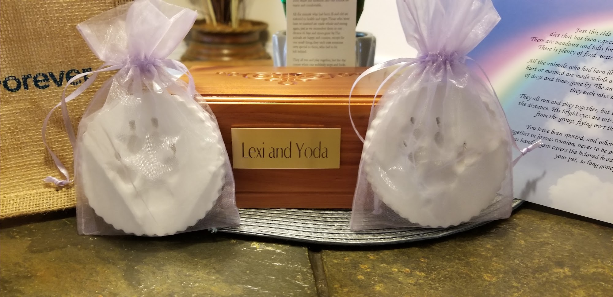 DeBary Animal Clinic DeBary