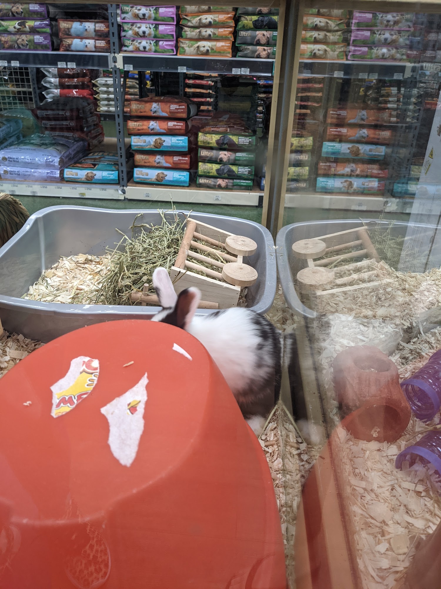 Pet Supermarket Deerfield Beach