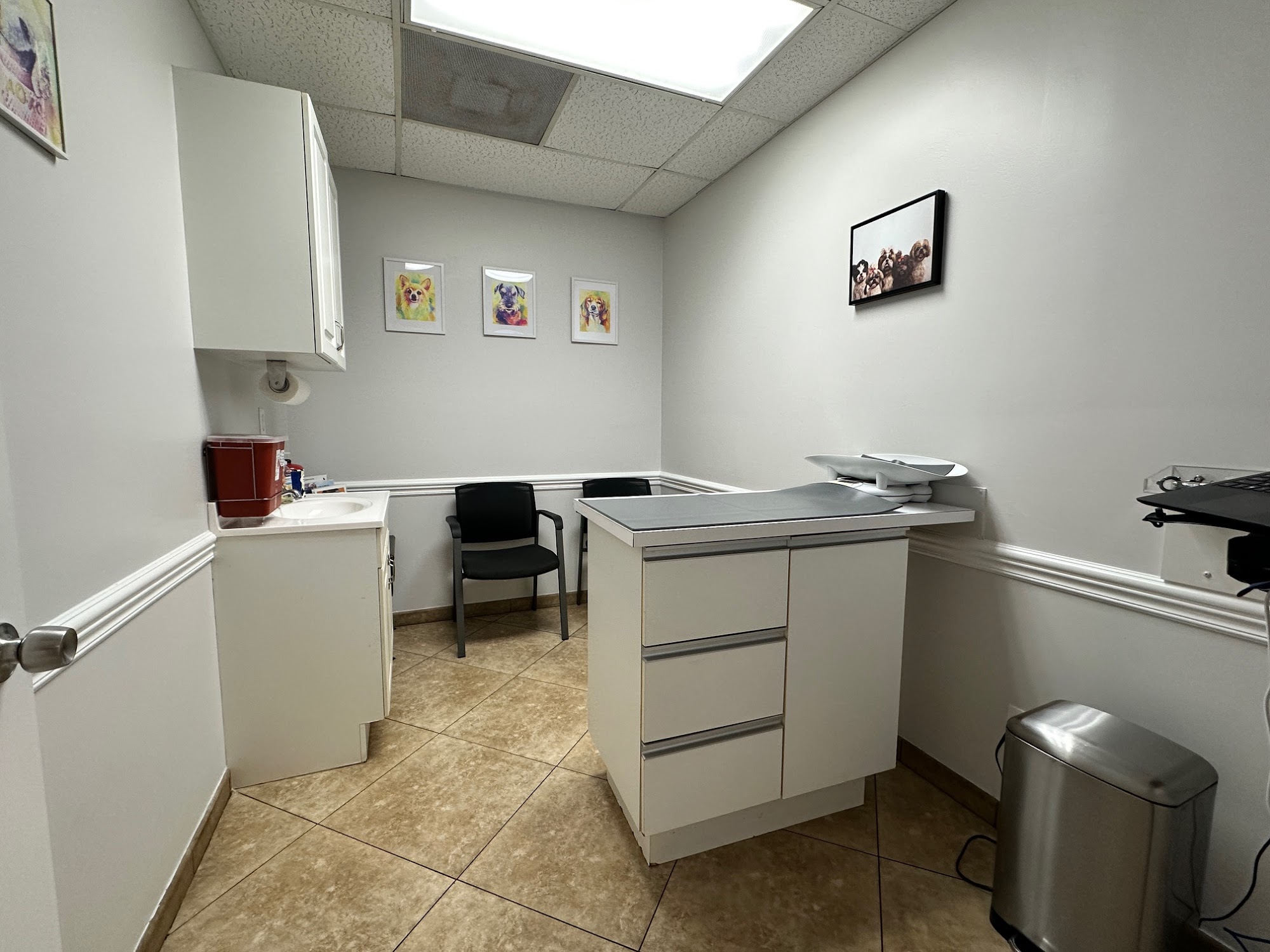 Deerfield Pet Vet Deerfield Beach