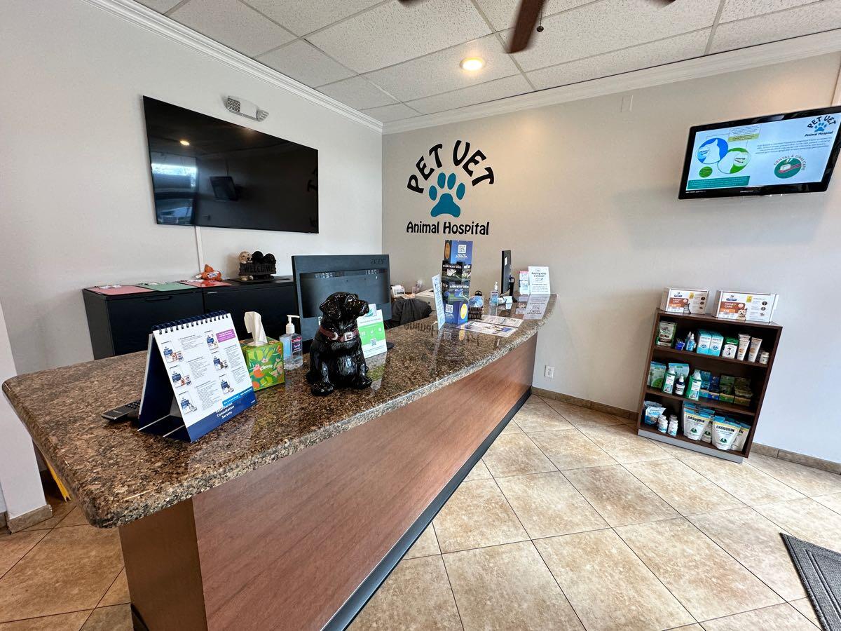Deerfield Pet Vet Deerfield Beach