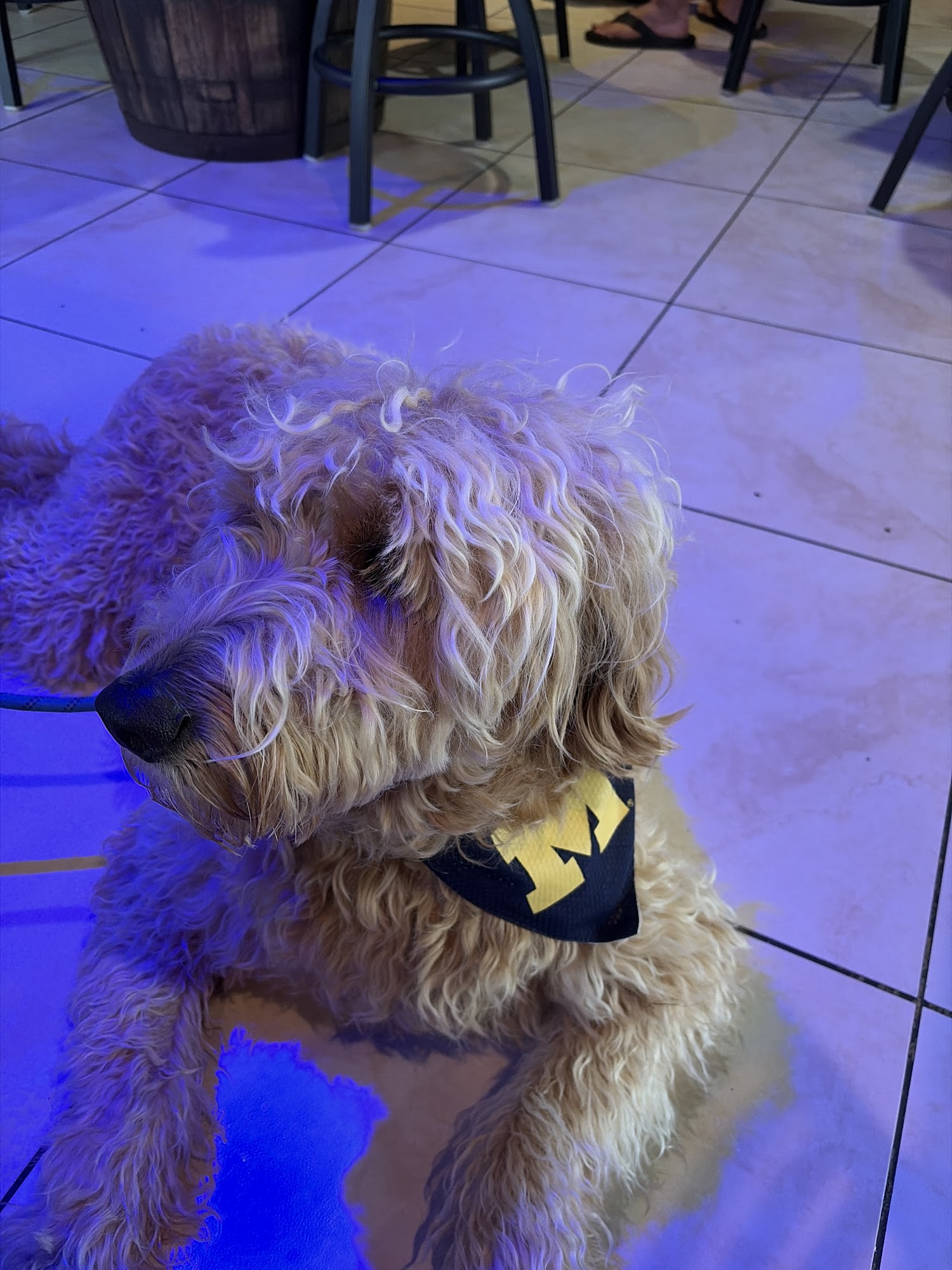 St. Pat's Irish Pub Deerfield Beach