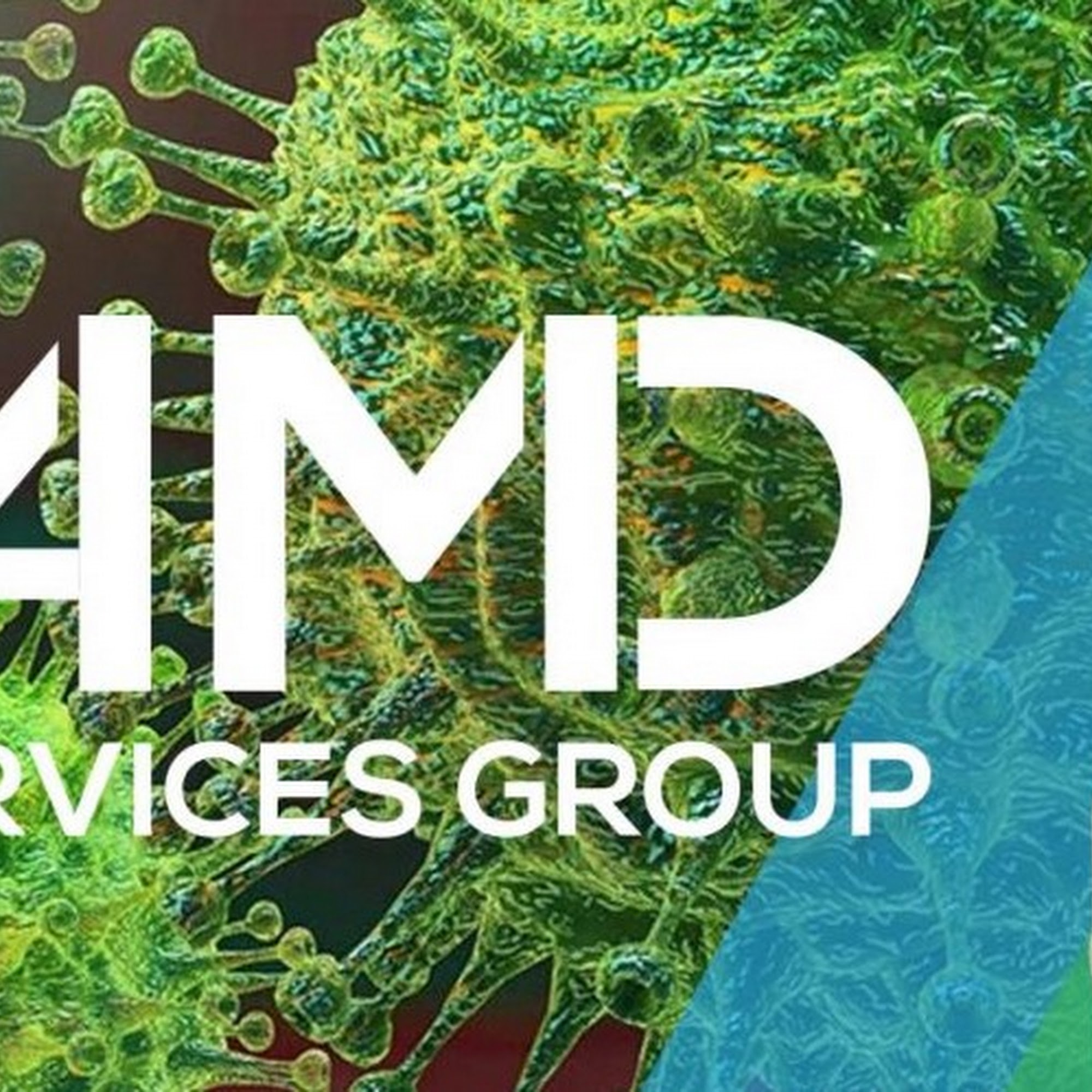 AMD Mold Testing & Remediation