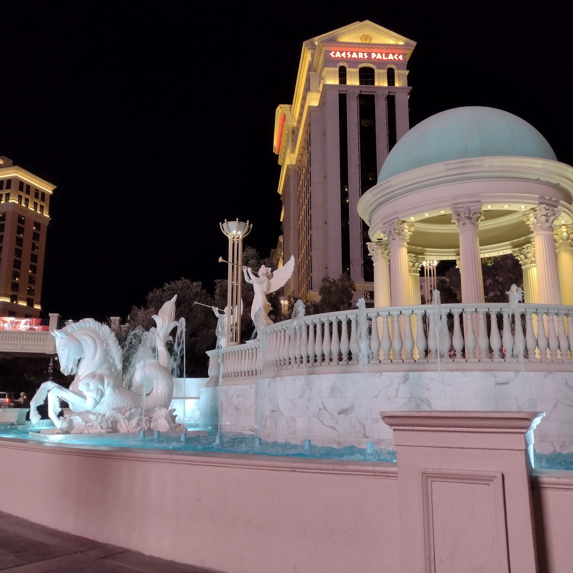 LMT Success Group 2501 W Hillsboro Blvd, Deerfield Beach Florida 33442