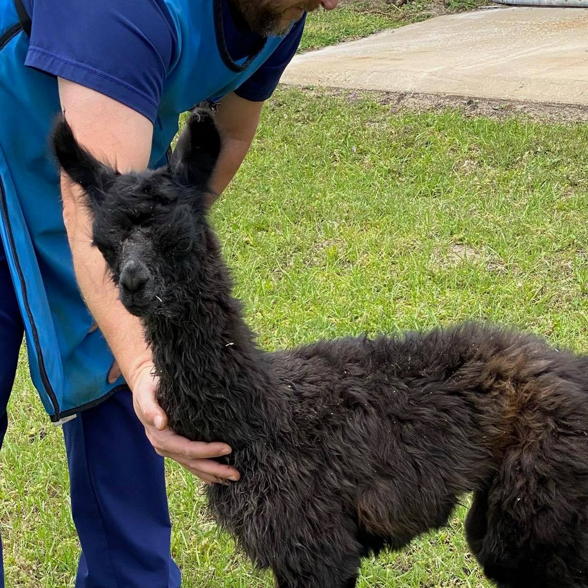 Walton County Animal Clinic DeFuniak Springs