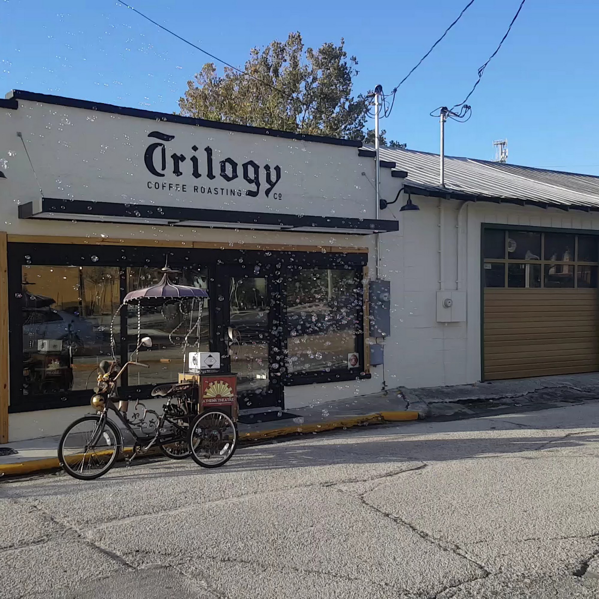 Trilogy Coffee Roasting Co Deland