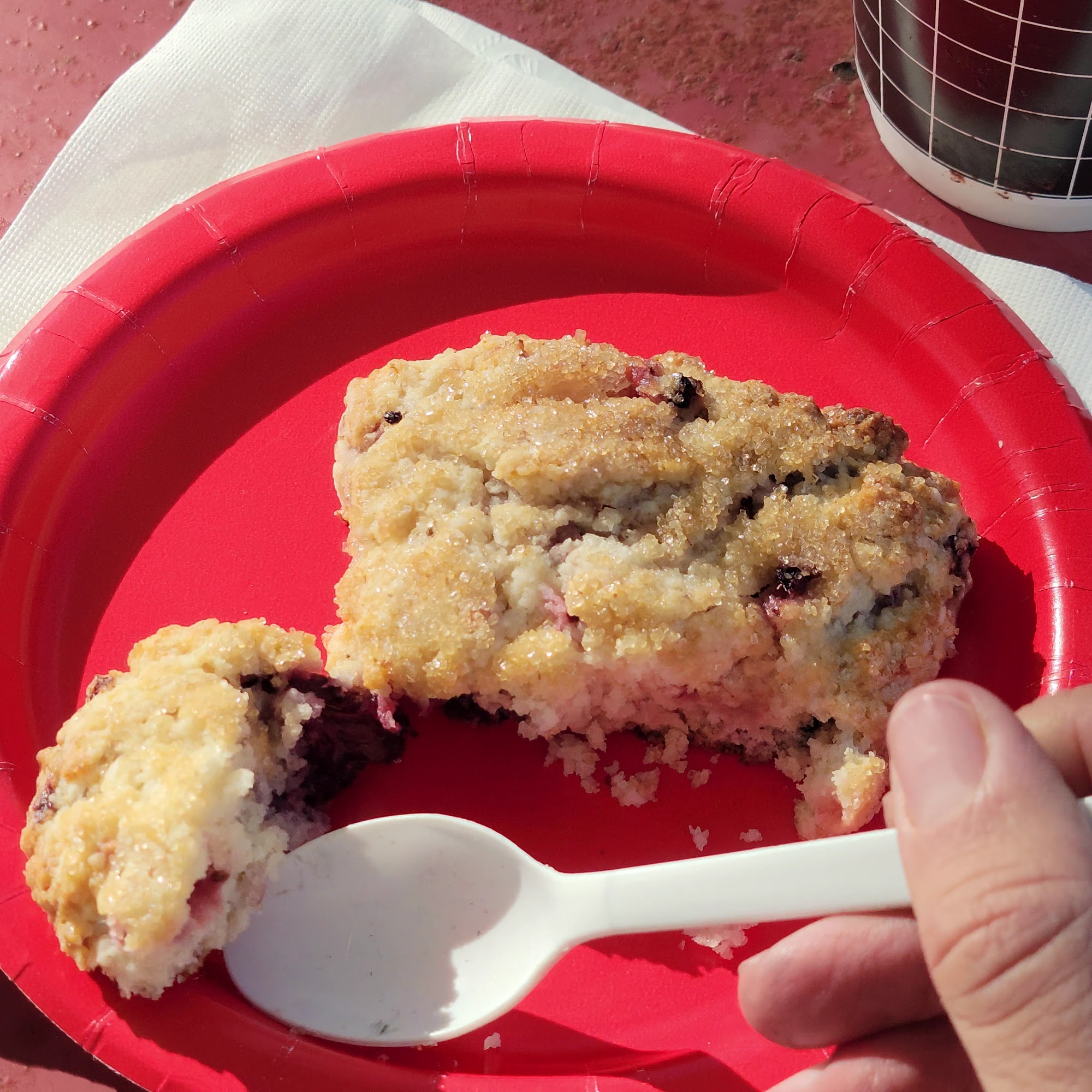 Buttercup Bakery Deland