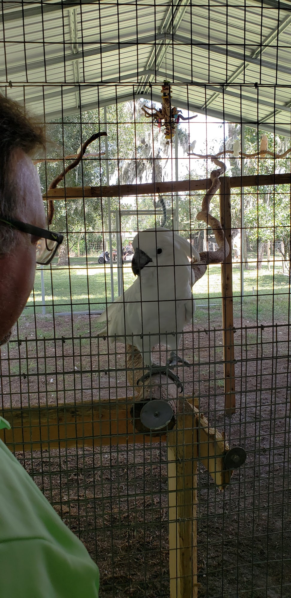 Patty’s Parrot Palace, Inc. Deland