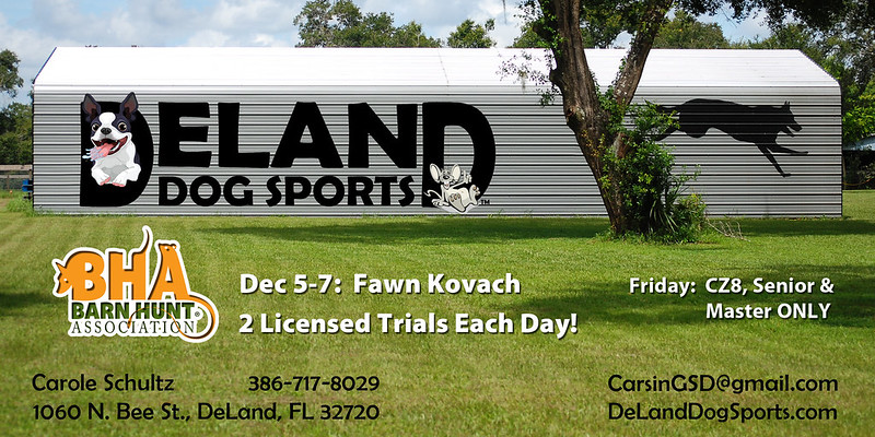 Deland Dog Sports Deland