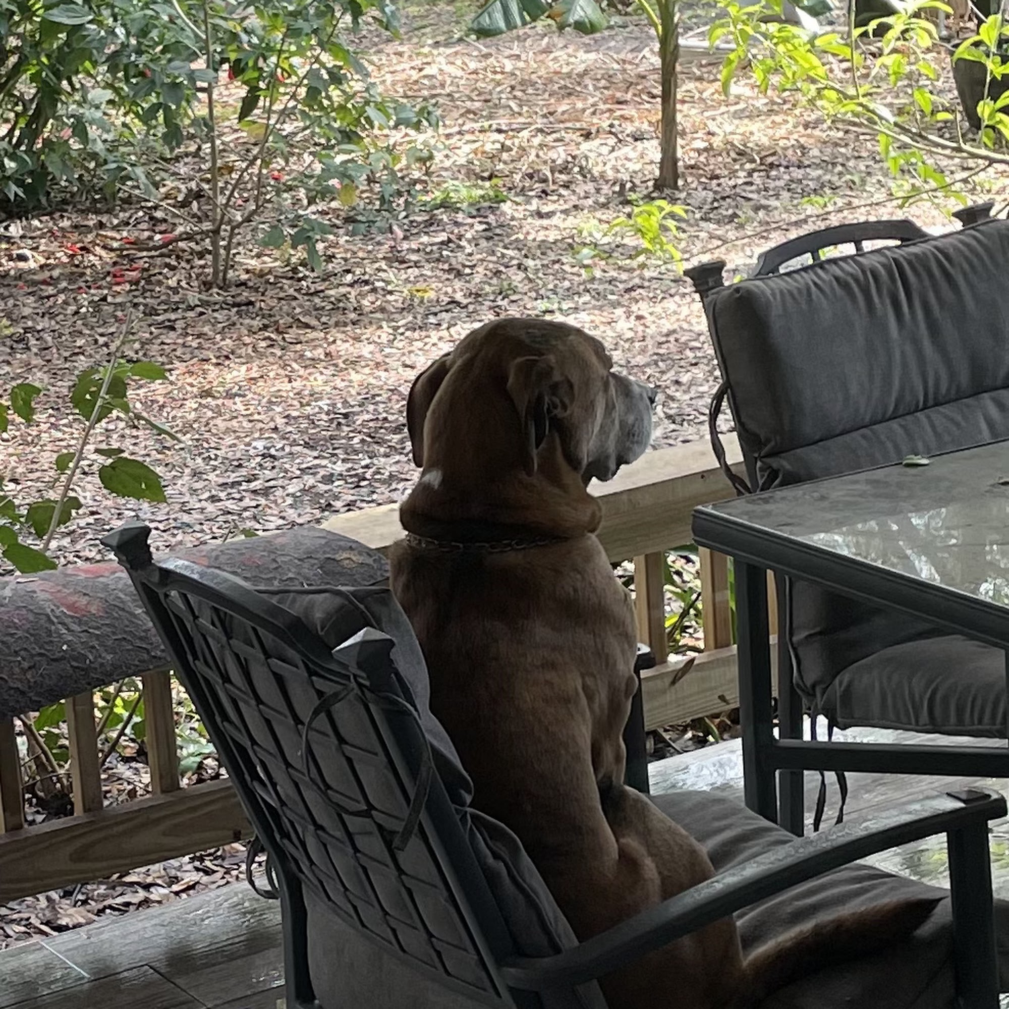 The Reid Farm Deland