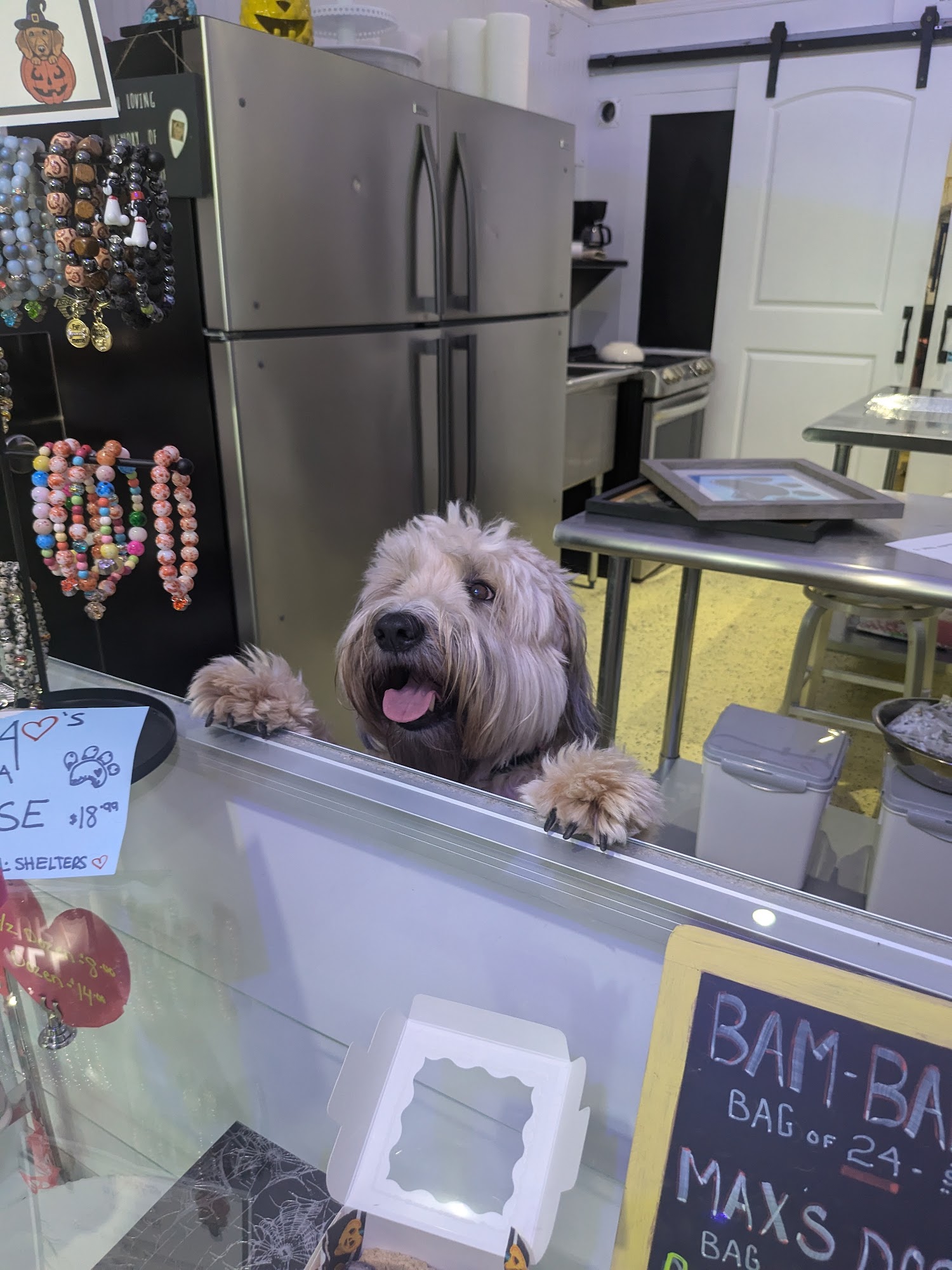 Claudia's Dog Grooming And Bakery Delray Beach