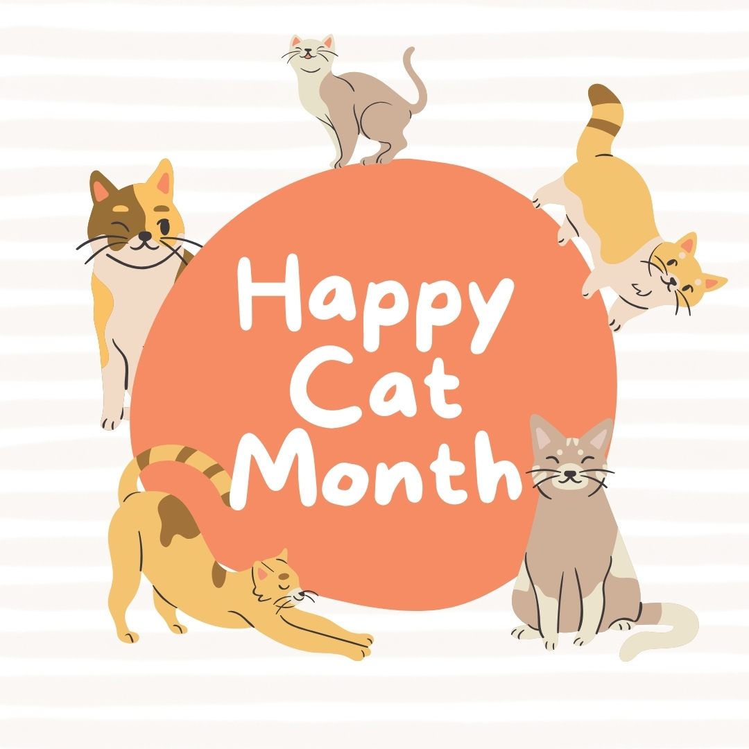 Boca Delray Animal Hospital Delray Beach