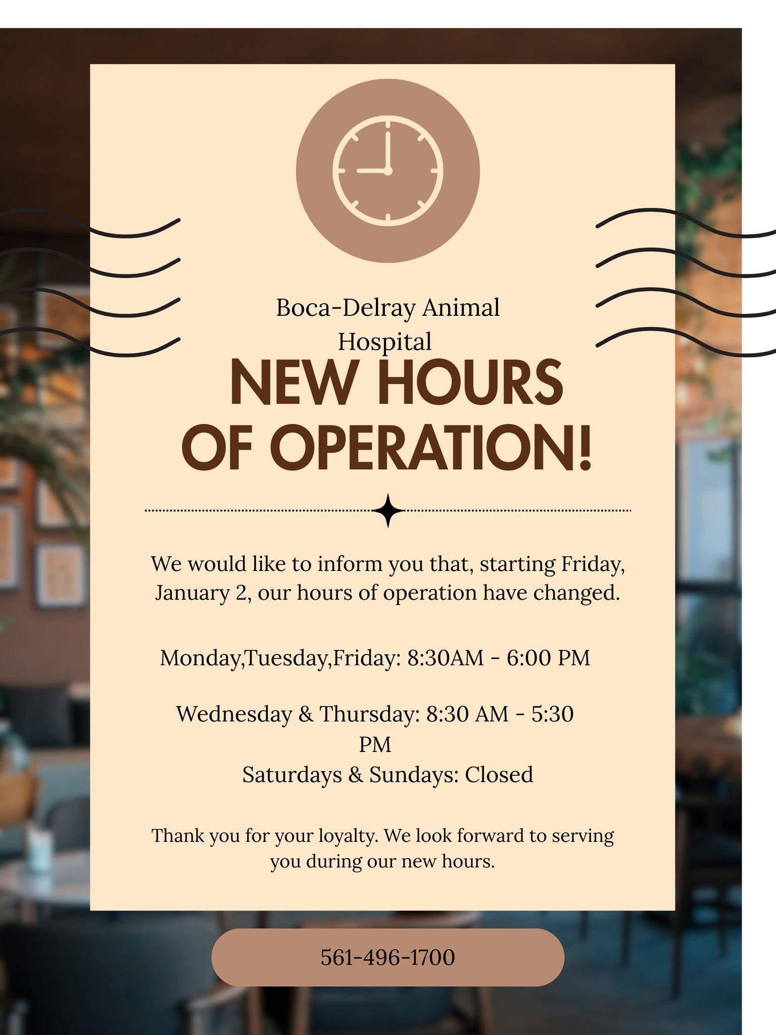 Boca Delray Animal Hospital Delray Beach