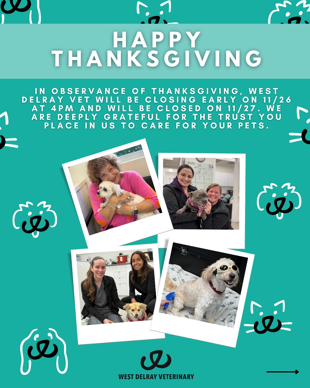 West Delray Veterinary Delray Beach