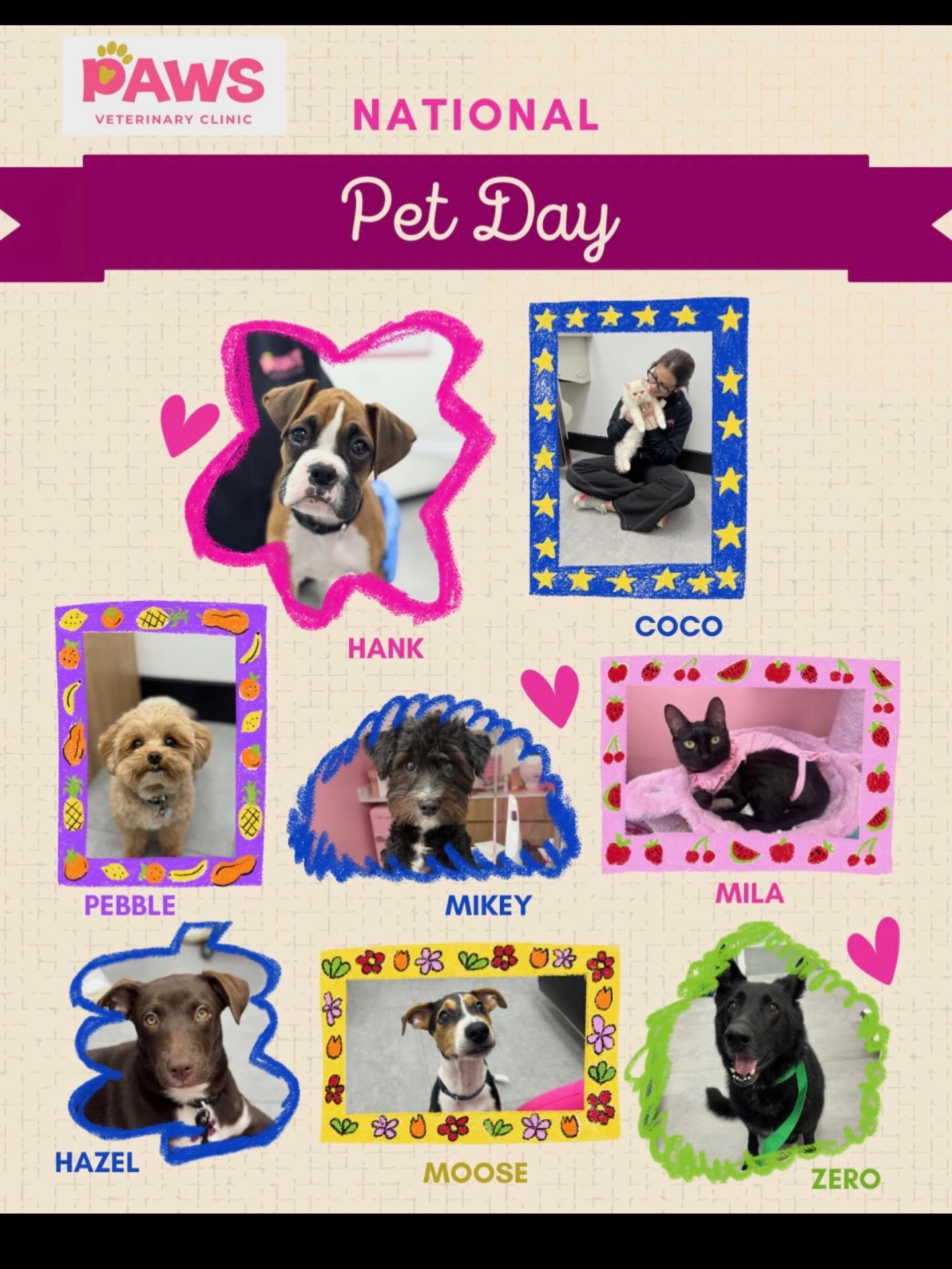 5 Paw Pets Delray Beach