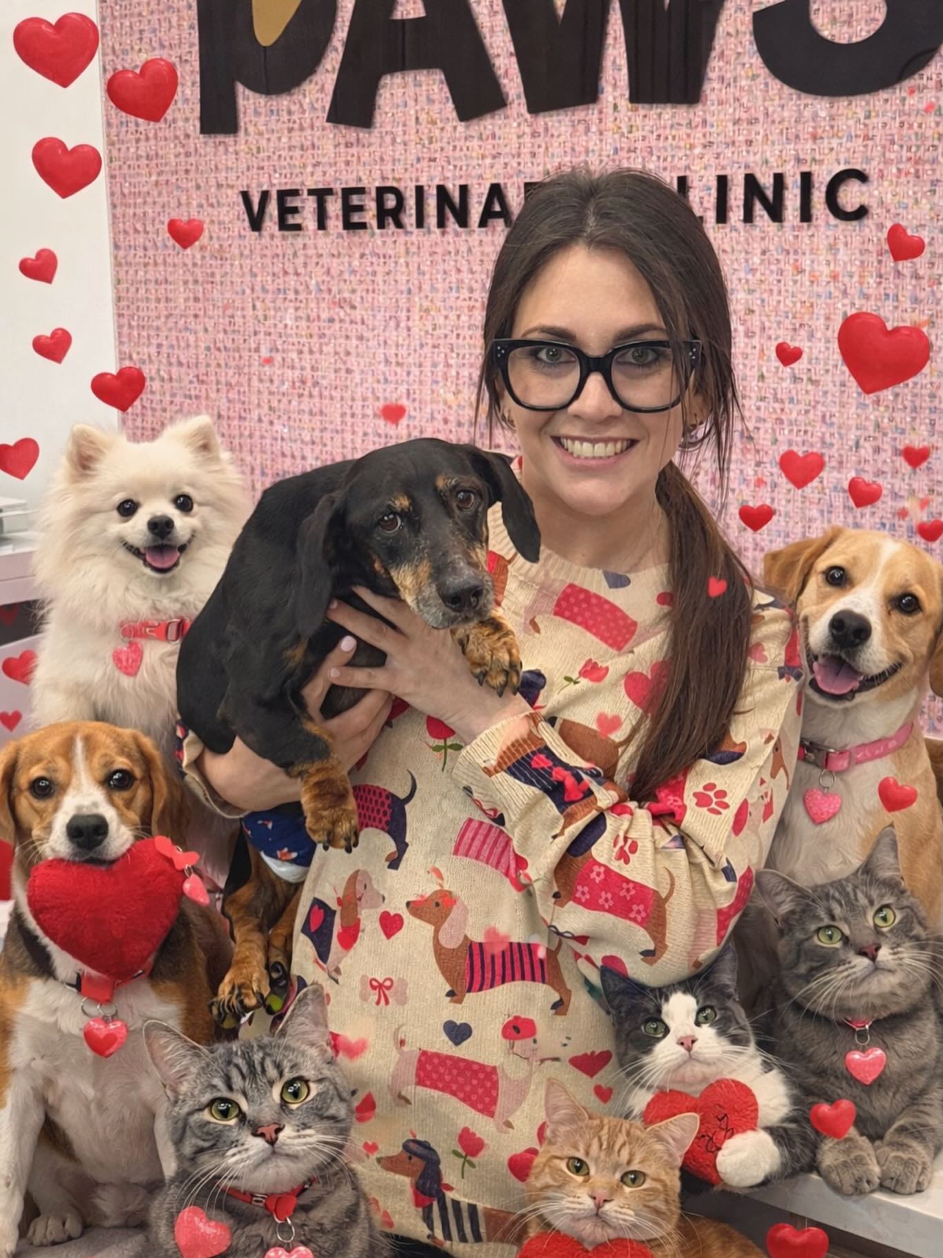 5 Paw Pets Delray Beach
