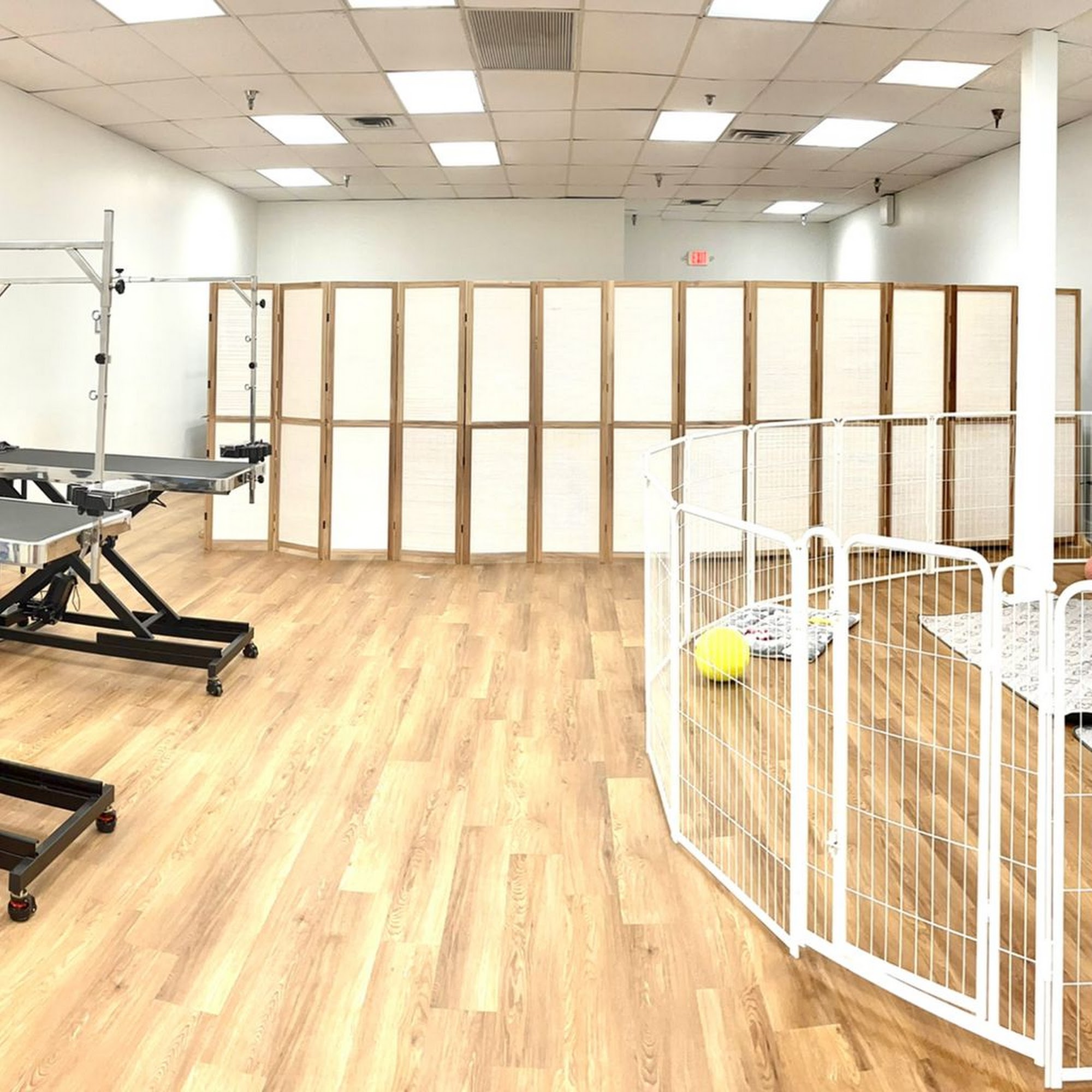 Puppy Palms | Pet Grooming&Supplies Delray Beach