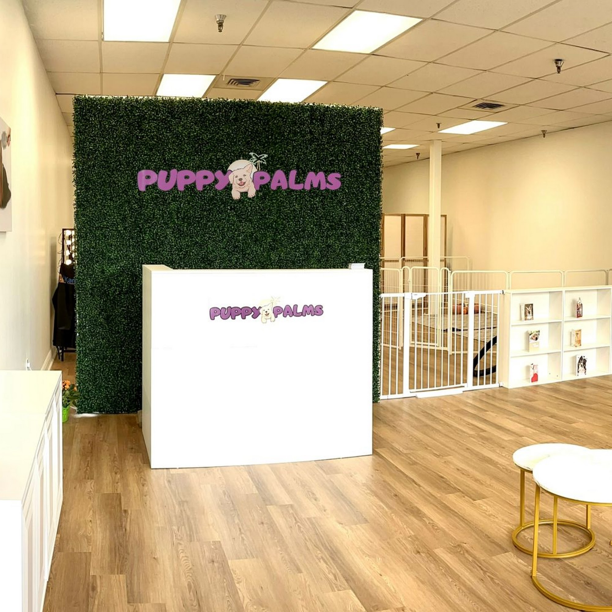 Puppy Palms | Pet Grooming&Supplies 155 Avenue L, Delray Beach Florida 33483