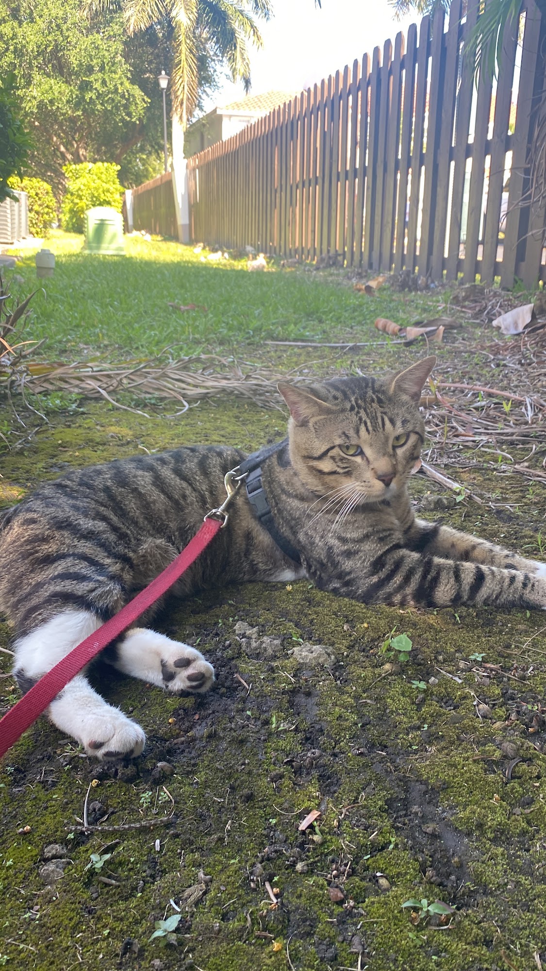 Doral Welfare Animal Hospital Doral