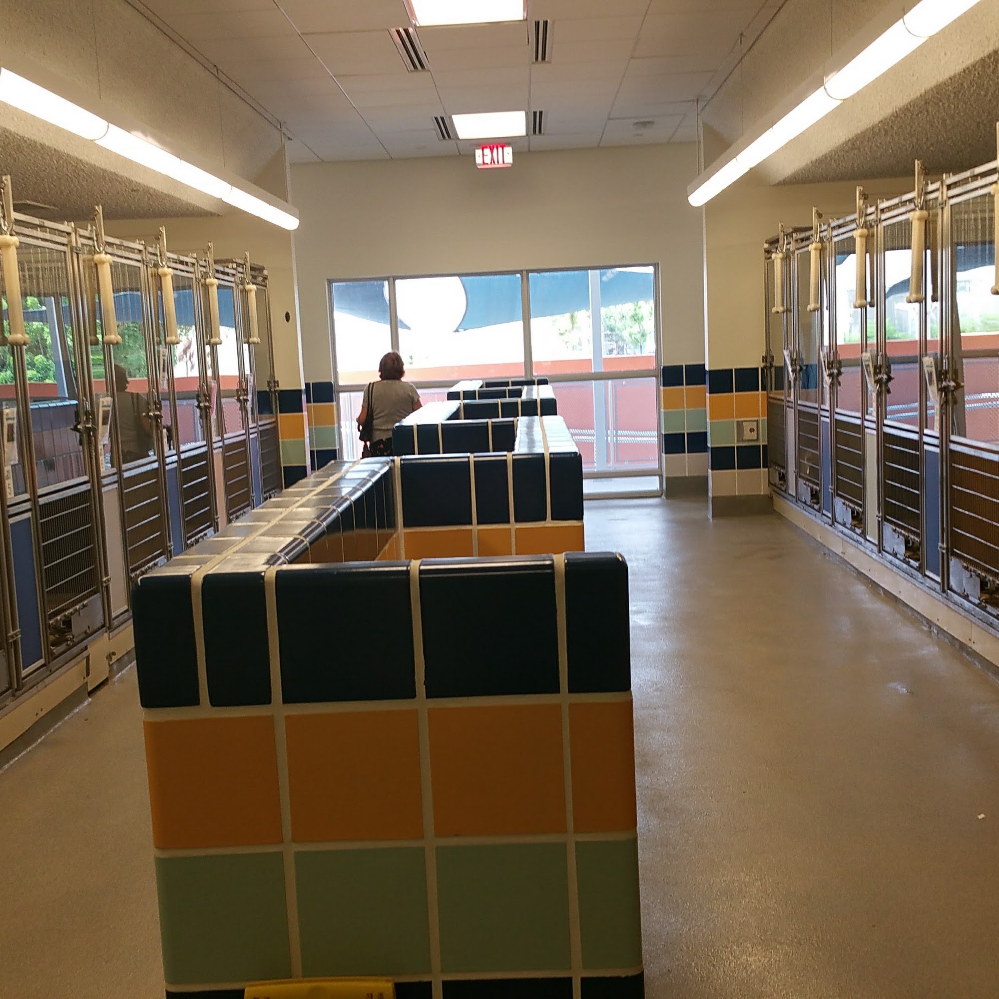 Miami-Dade Animal Services Pet Adoption & Protection Center Doral