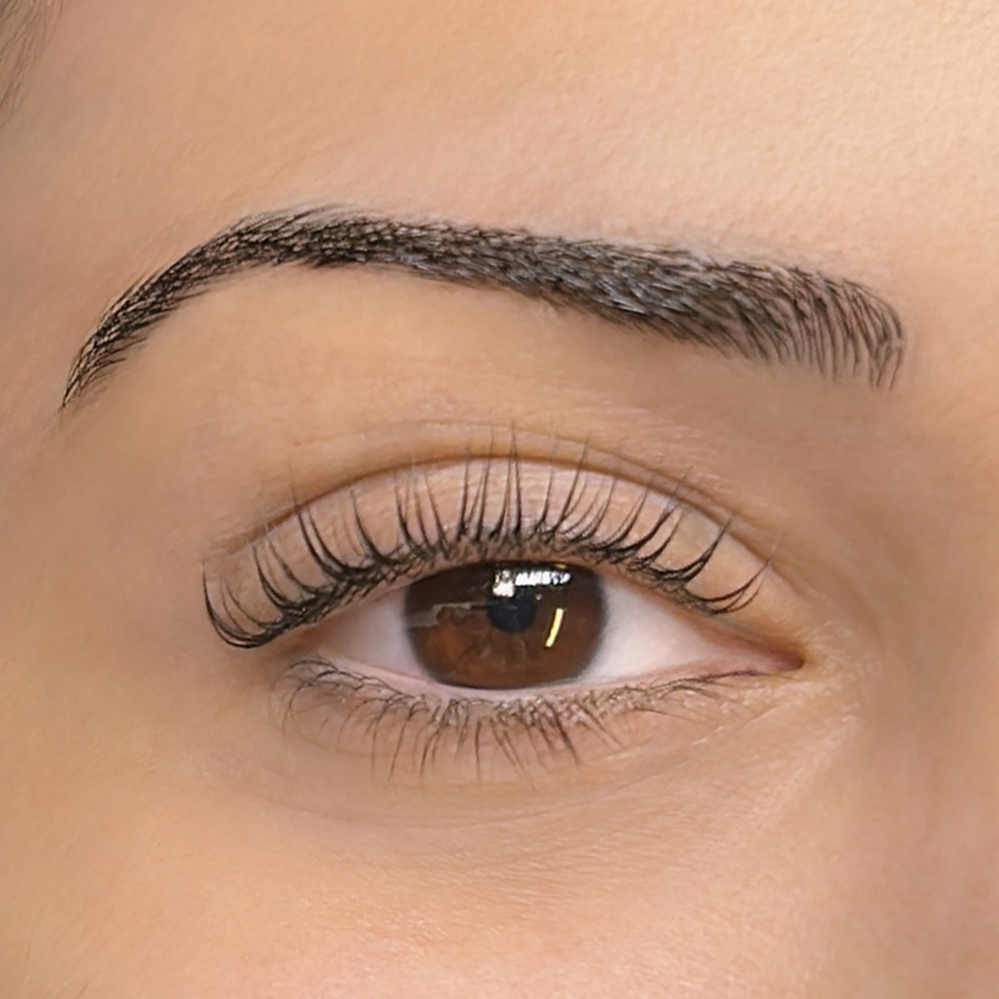 The Lash Lounge 3535 NW 83rd Ave Suite 109, Doral Florida 33122