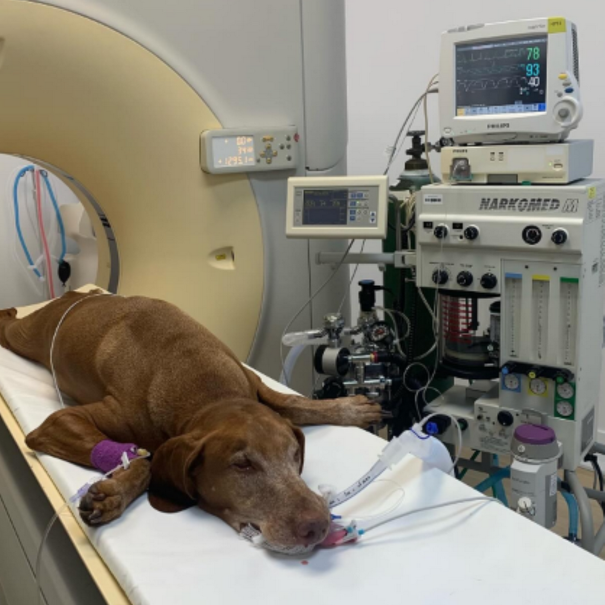 MyPetScan 2600 NW 87th Ave #5, Doral Florida 33172