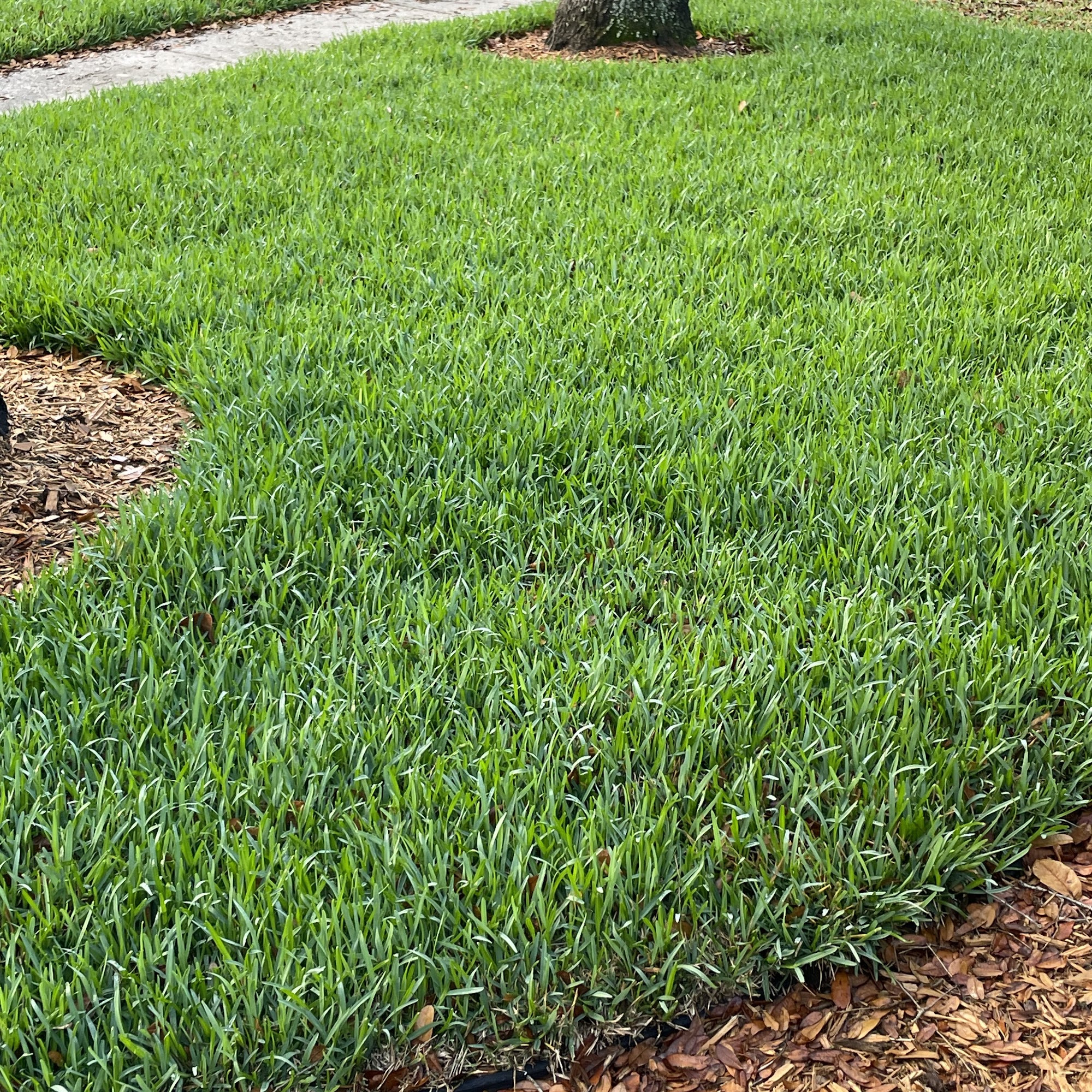 Champion Residential Services