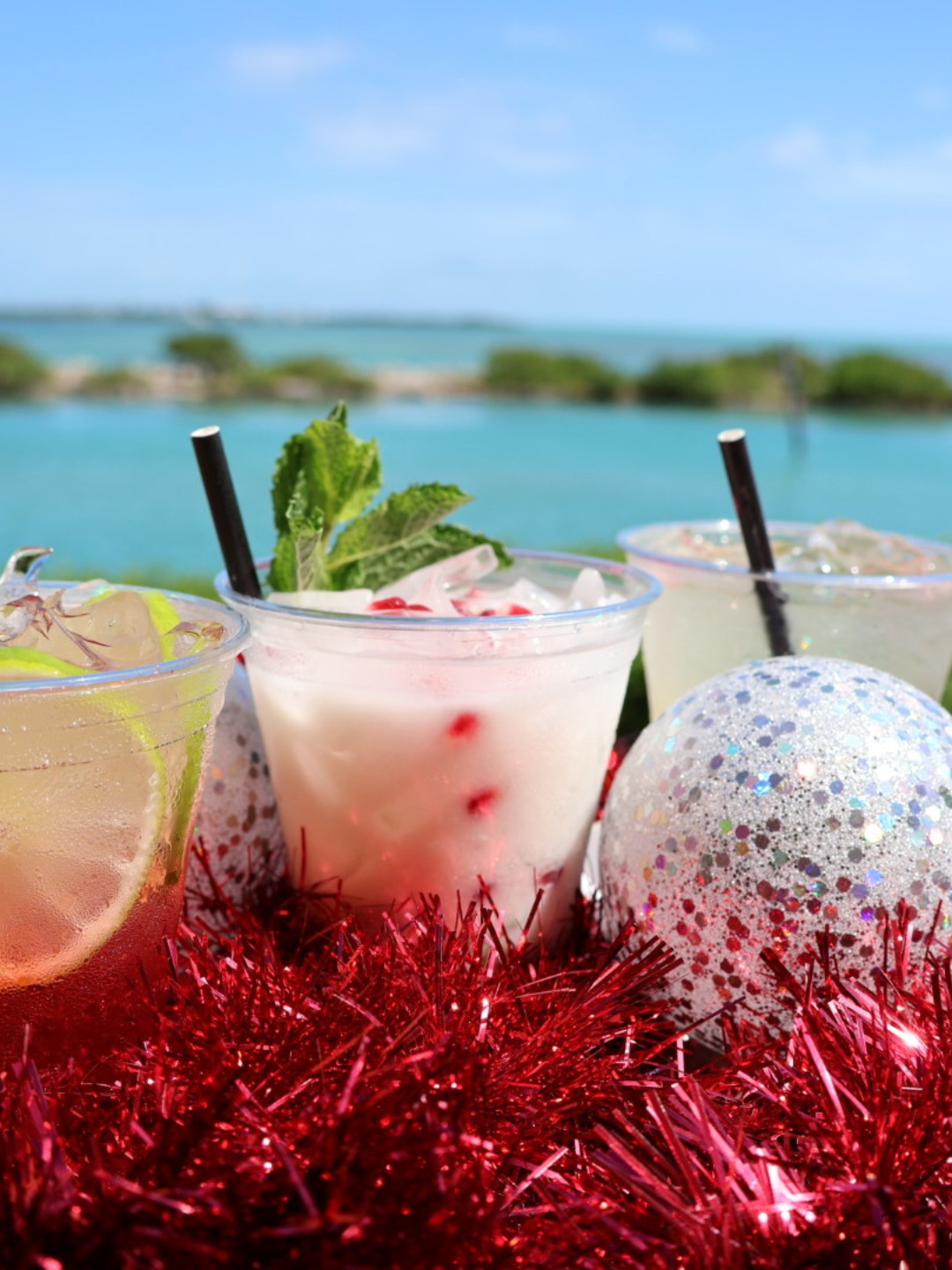 Hawks Cay Marina Duck Key