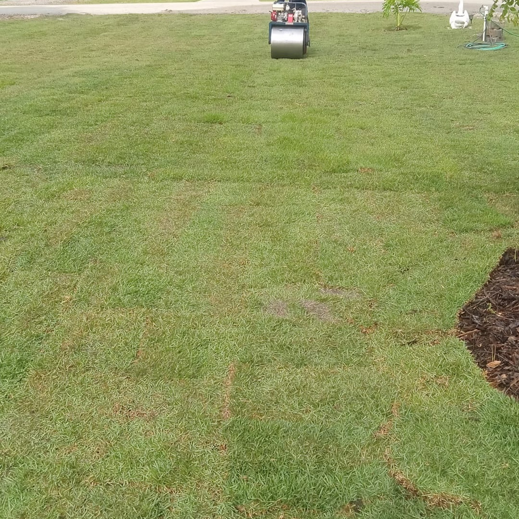 Travis Resmondo Sod inc Dundee