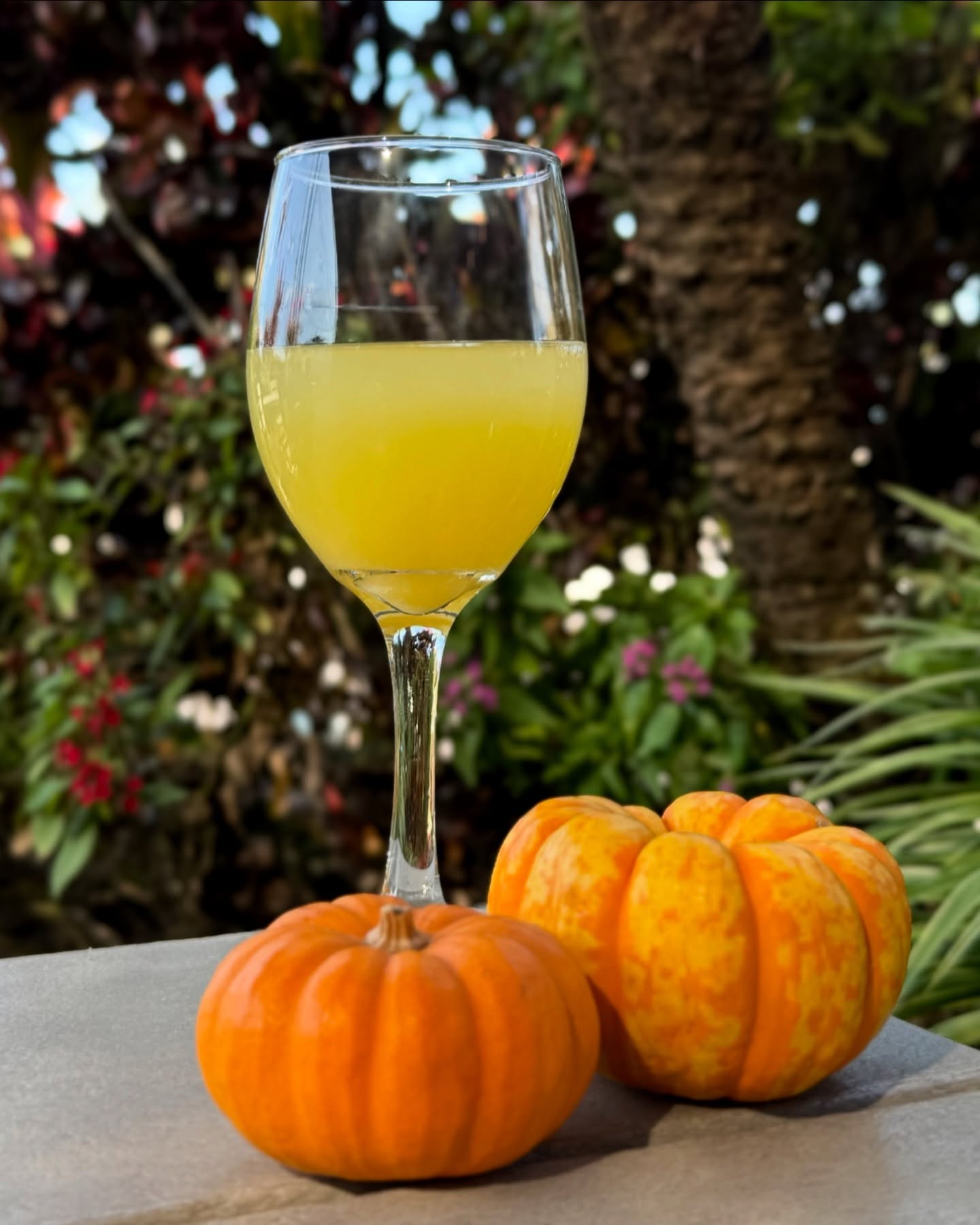 Clear Sky Draught Haus Dunedin