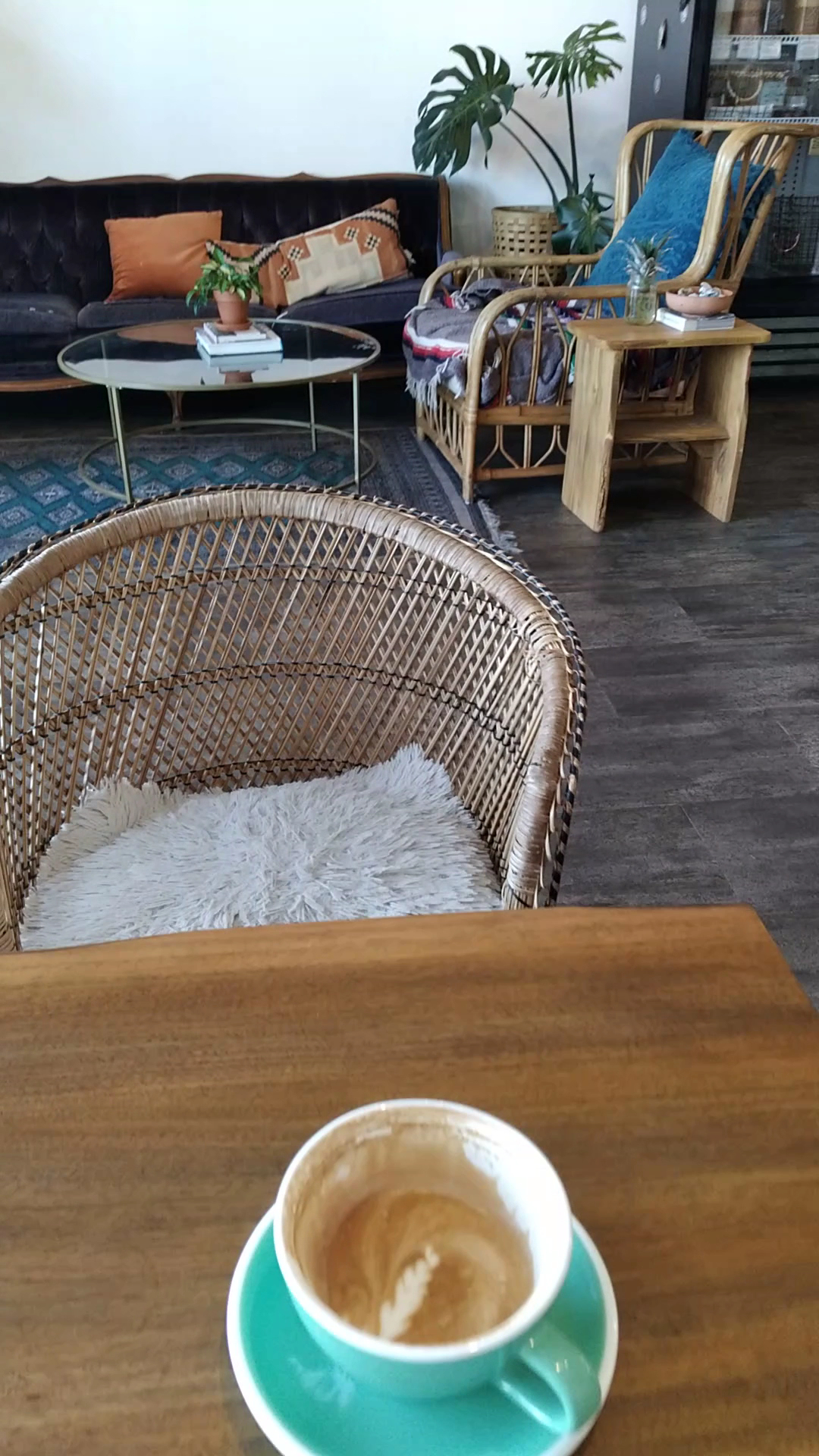 Escape Root Juicery Dunedin