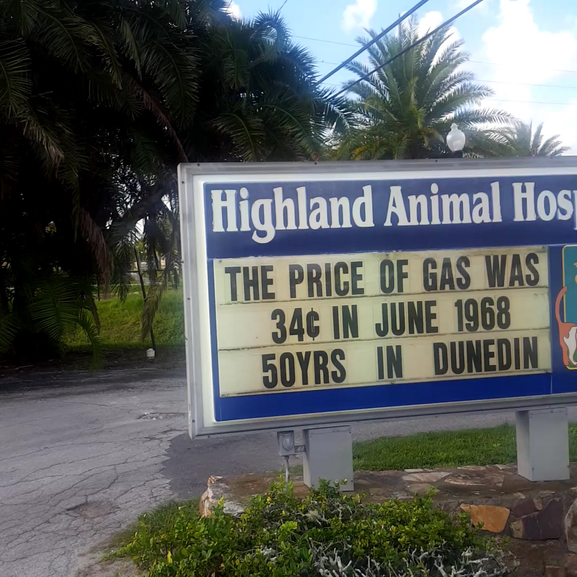 Highland Animal Hospital Dunedin