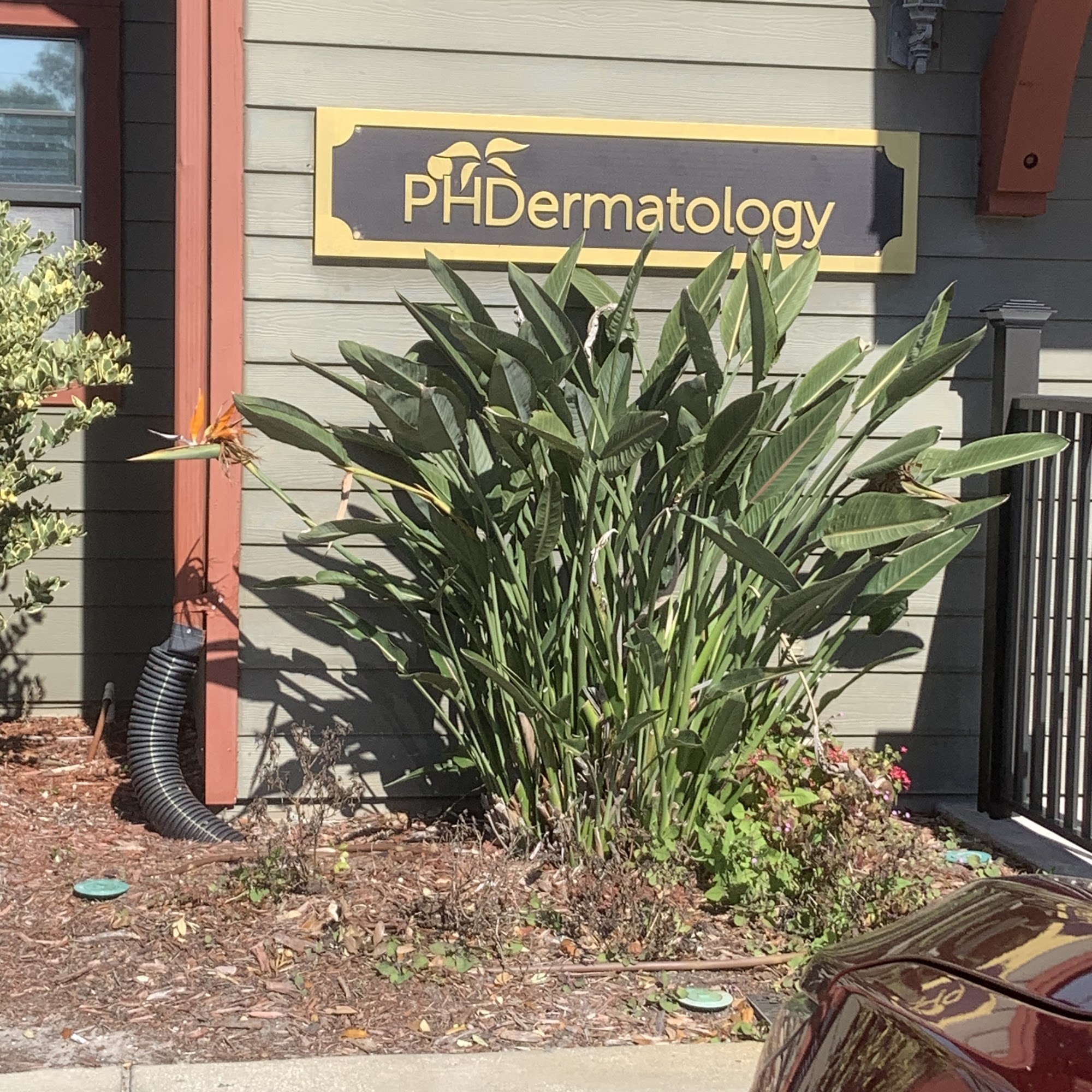 PHDermatology- Dunedin