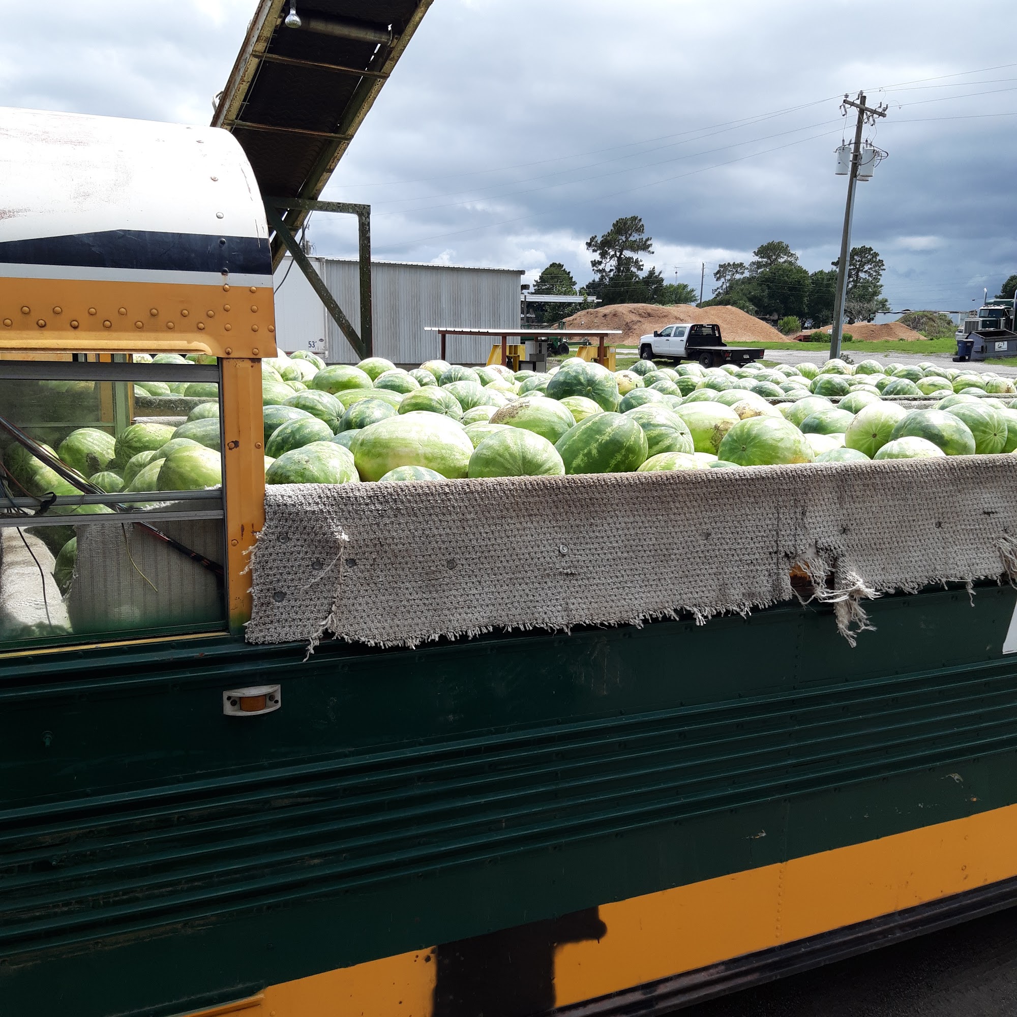 J & J Farms Dunnellon